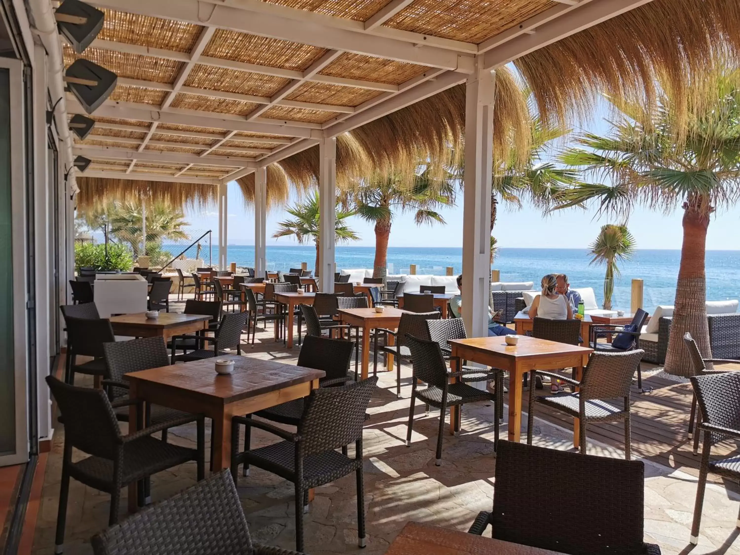 Restaurant/Places to Eat in Hotel El Puntazo I