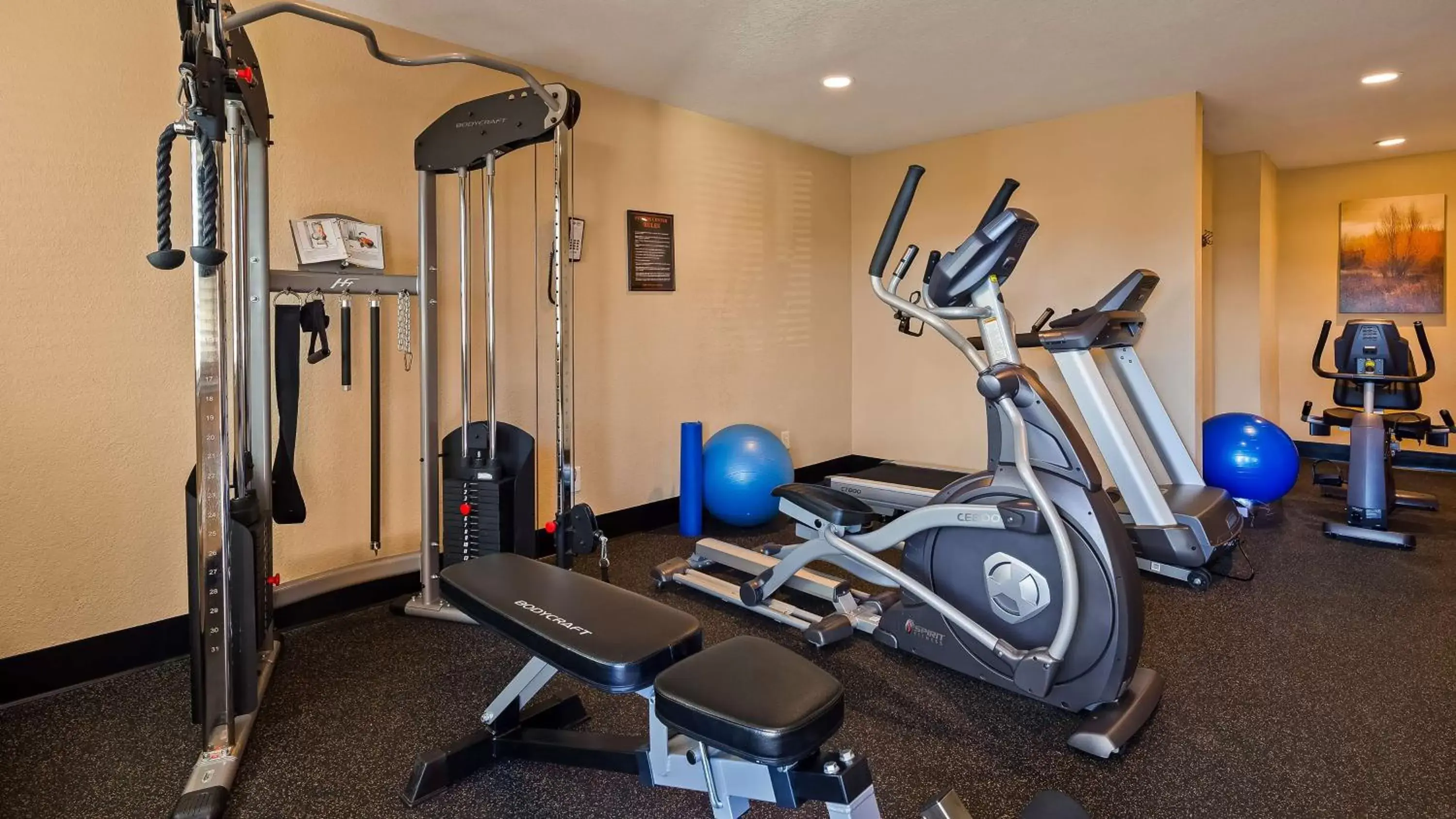 Fitness centre/facilities, Fitness Center/Facilities in Best Western Plus Pleasanton Inn