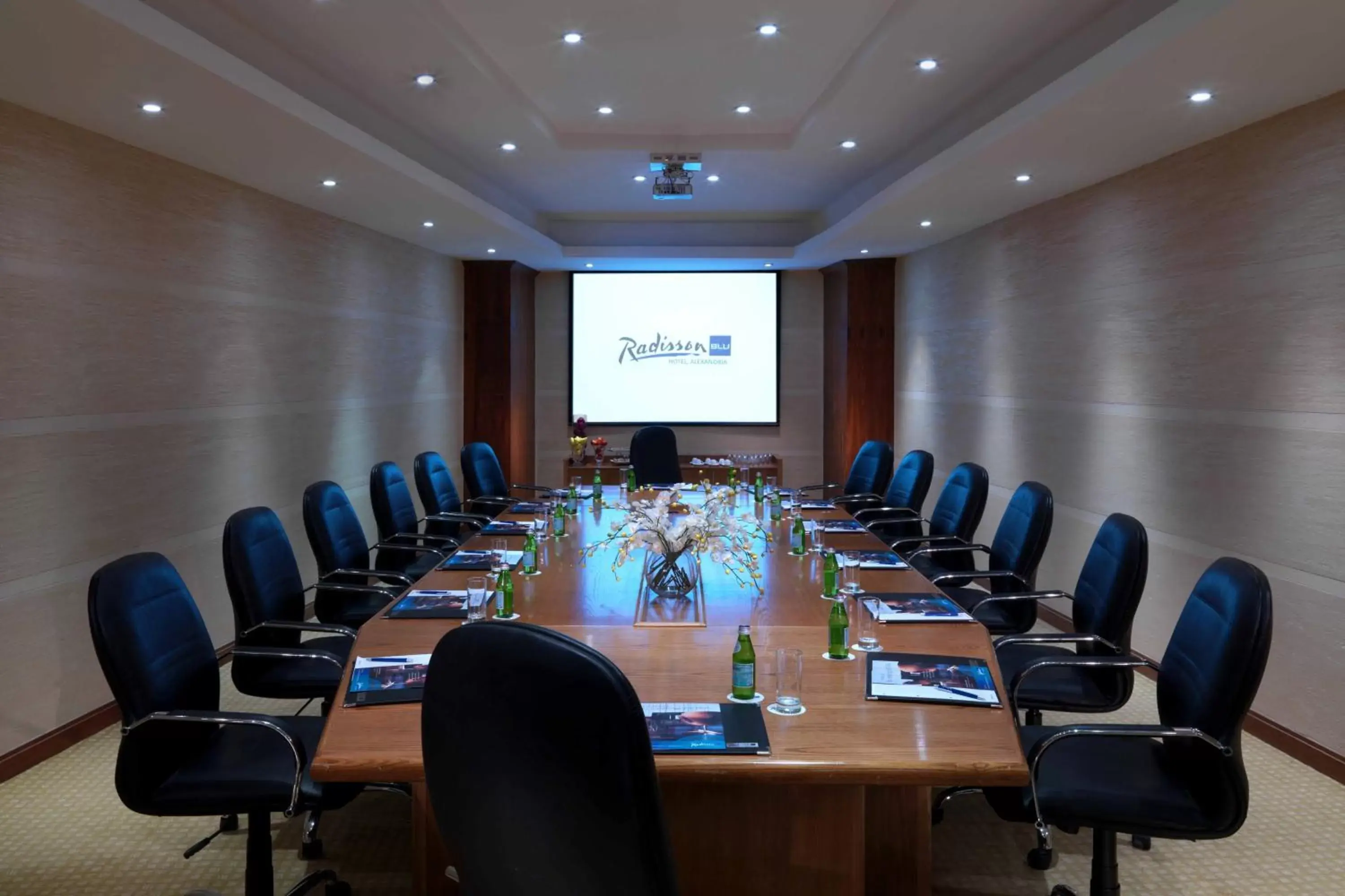 Business facilities in Radisson Blu Hotel Alexandria