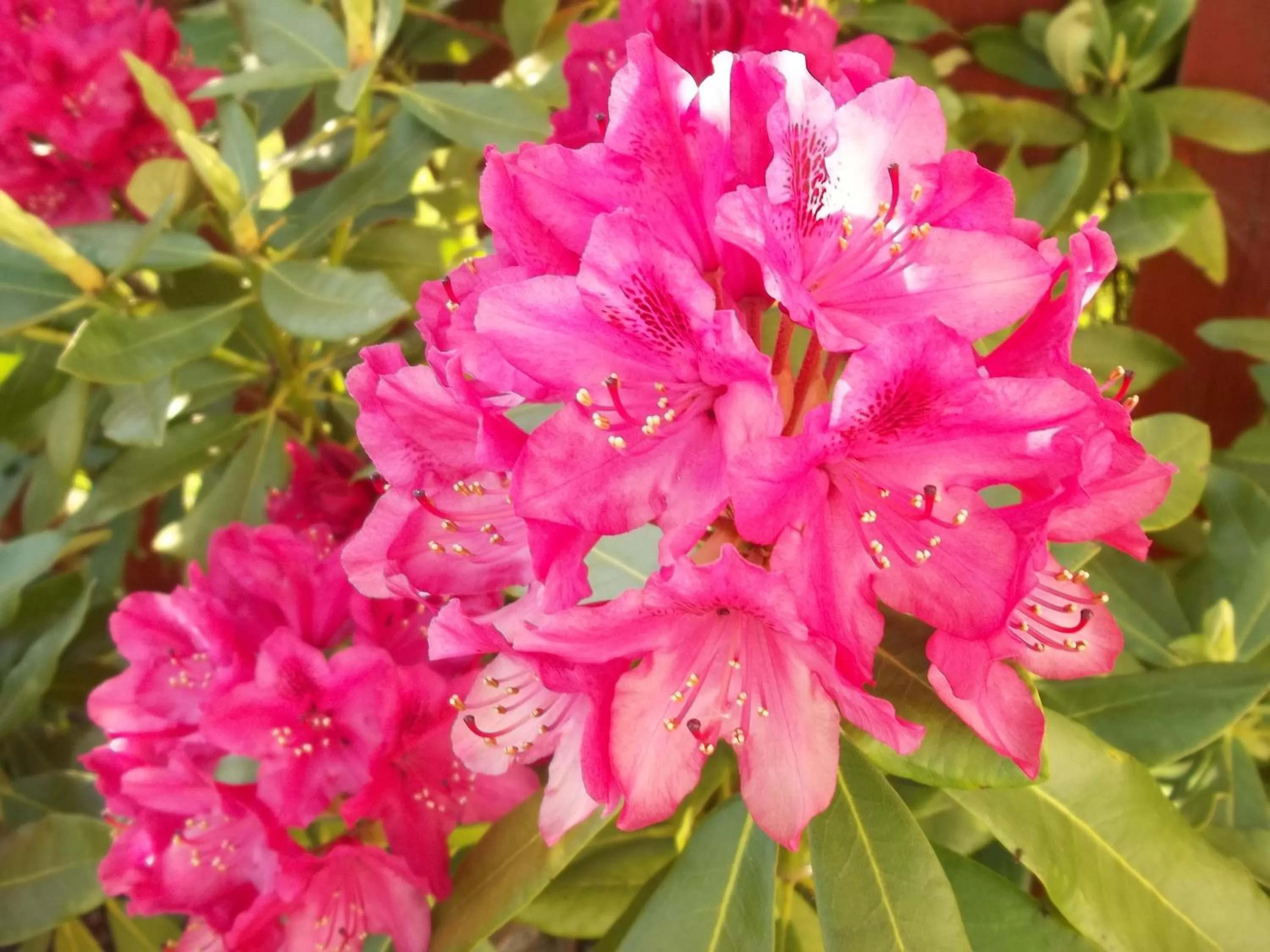 Other in Glenfern Guest House and a separate Cottage with its own private hot tub