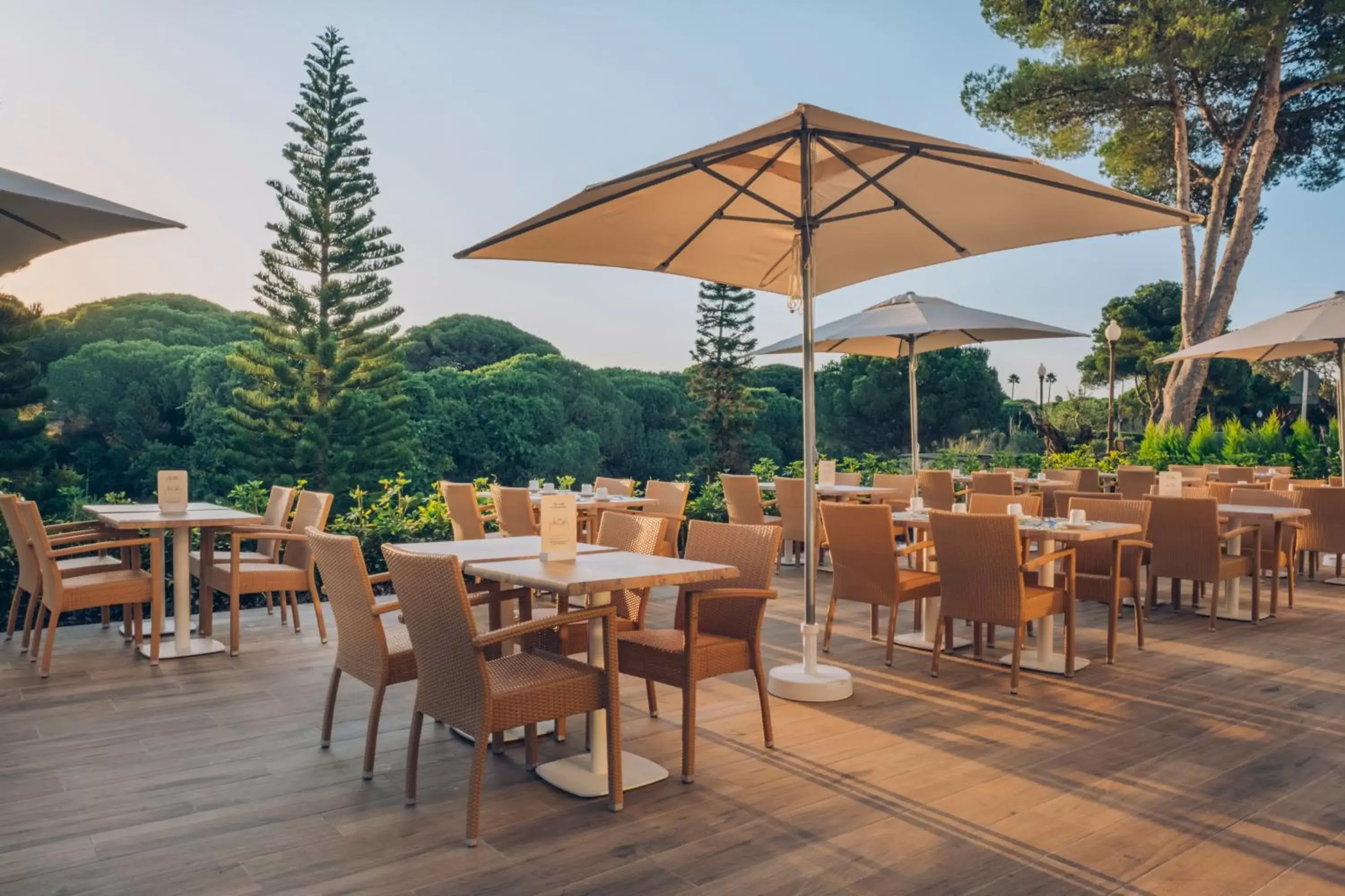 Dining area, Restaurant/Places to Eat in Iberostar Royal Andalus