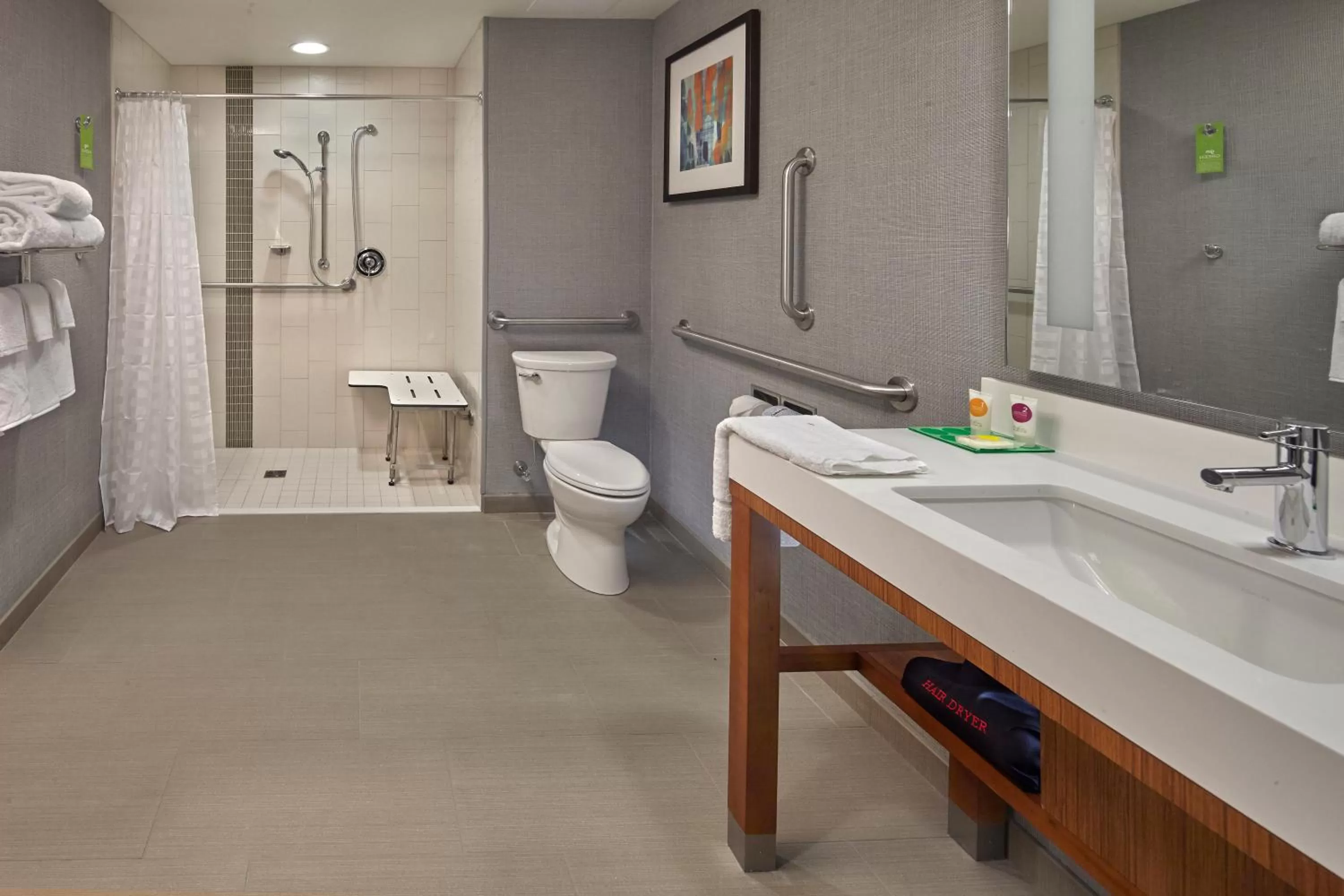 King Room with Sofa Bed and Roll-In Shower - Disability Access in Hyatt Place State College