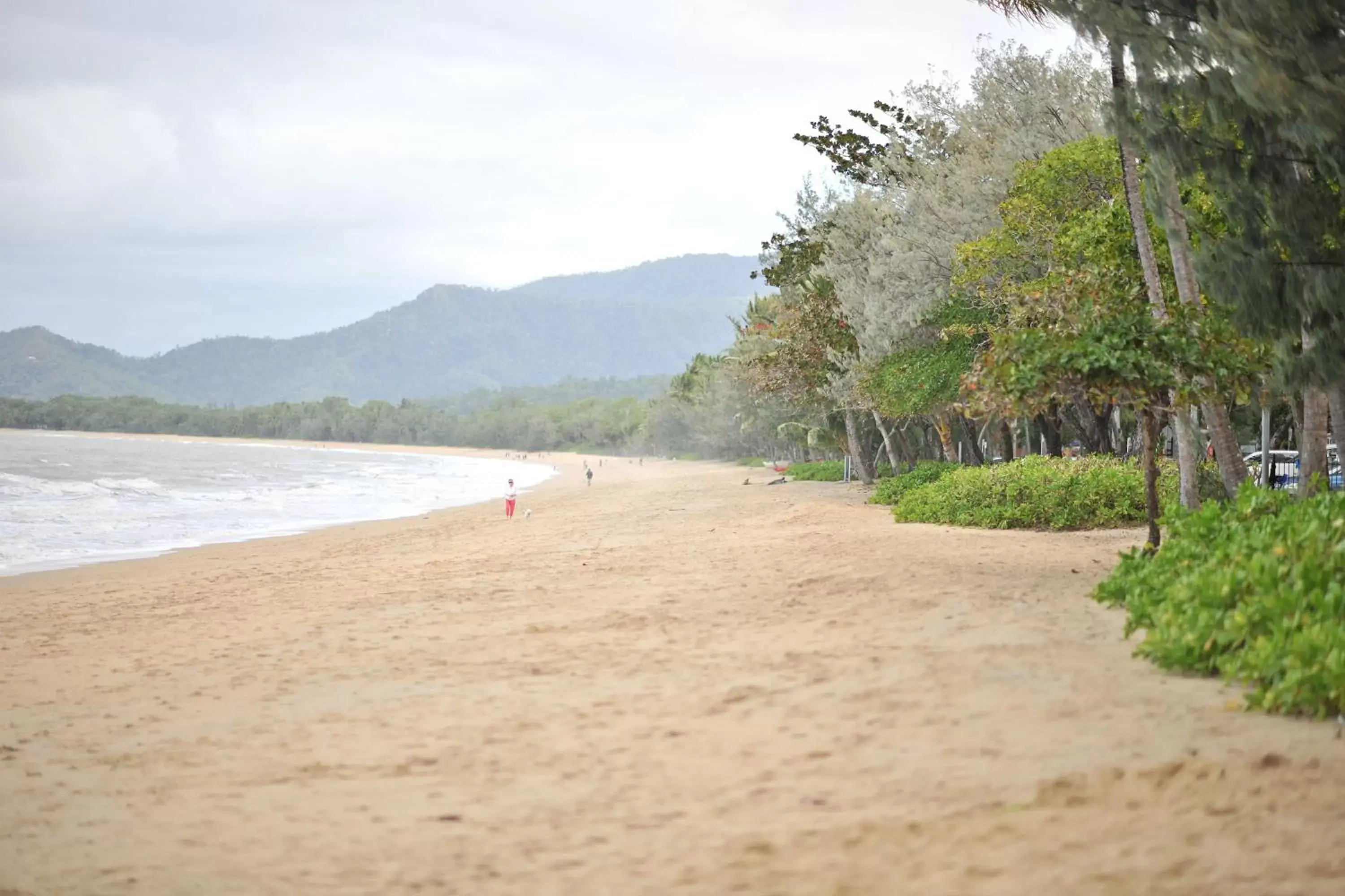 Natural landscape, Beach in Peppers Beach Club & Spa