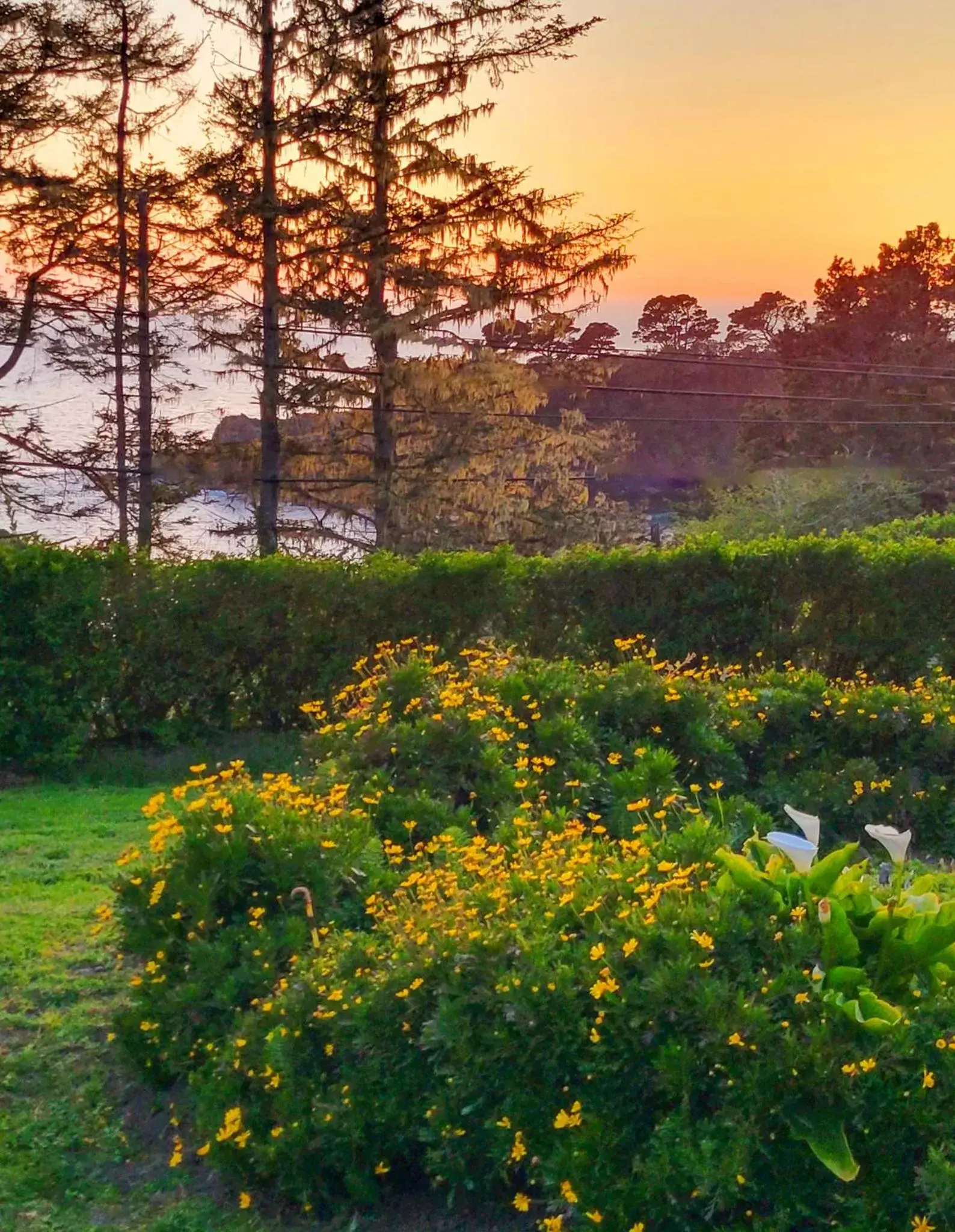 View (from property/room), Natural Landscape in Inn at Buckhorn Cove