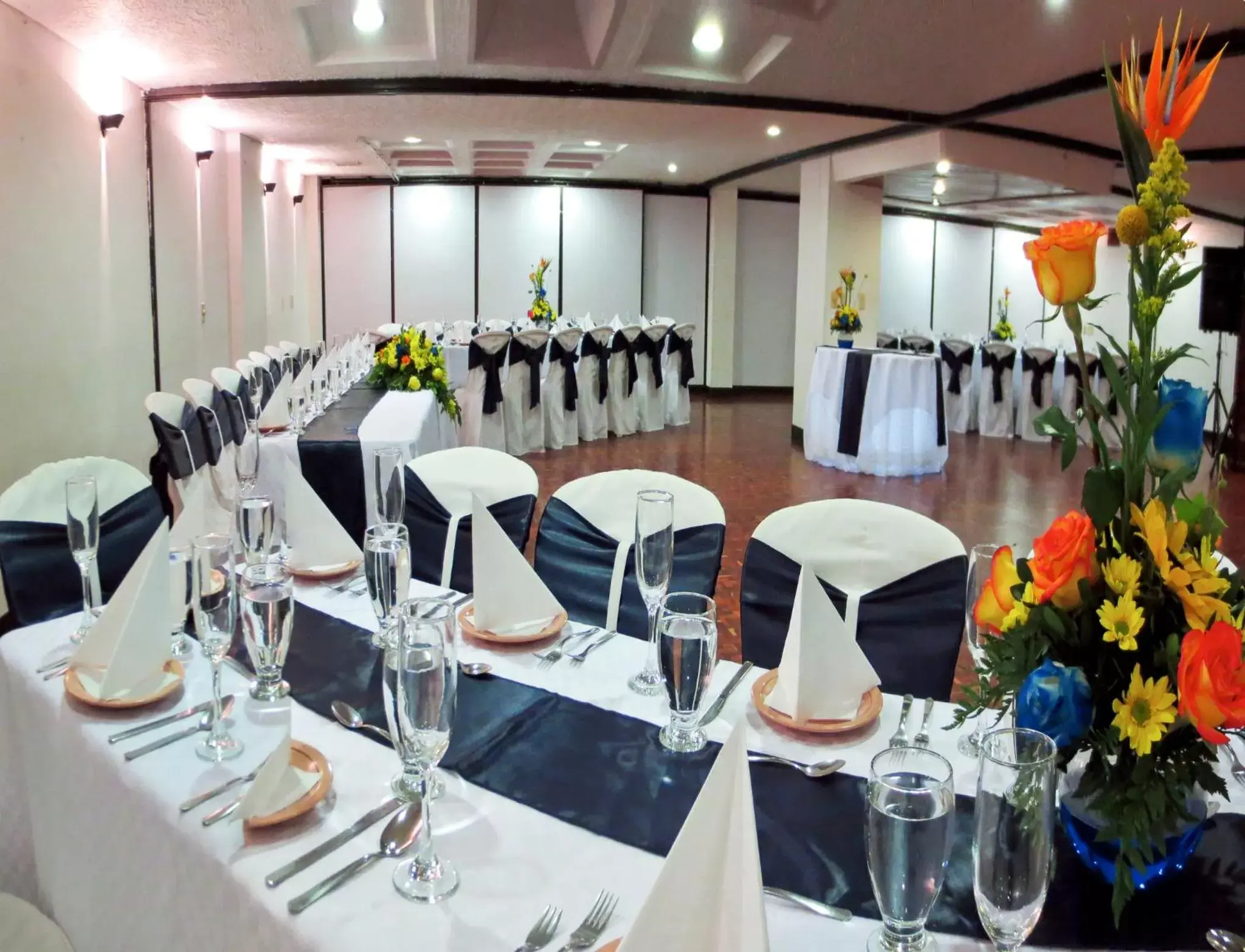 Business facilities, Banquet Facilities in Hotel Don Saul