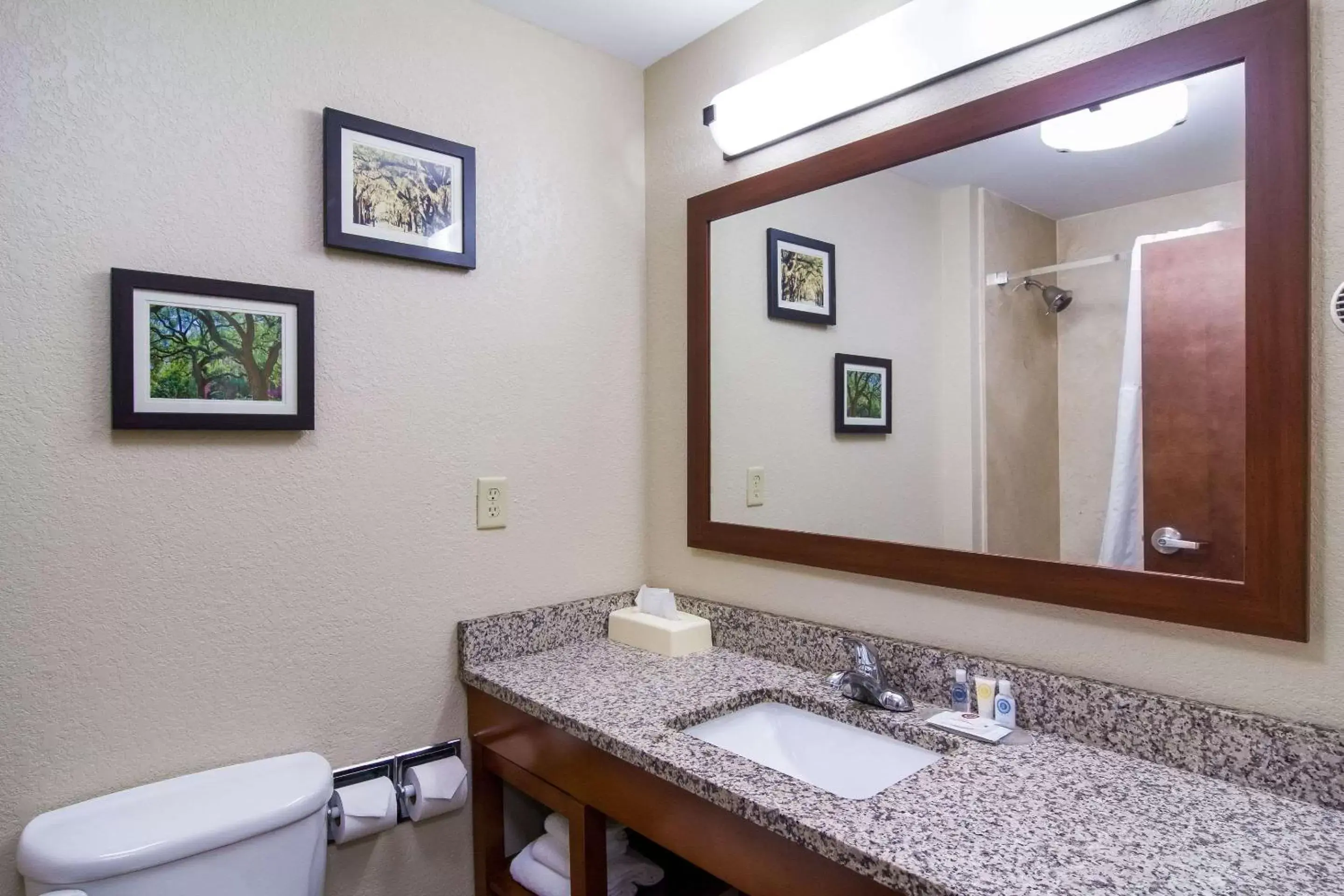 Bathroom in Comfort Inn Blackshear Hwy 84