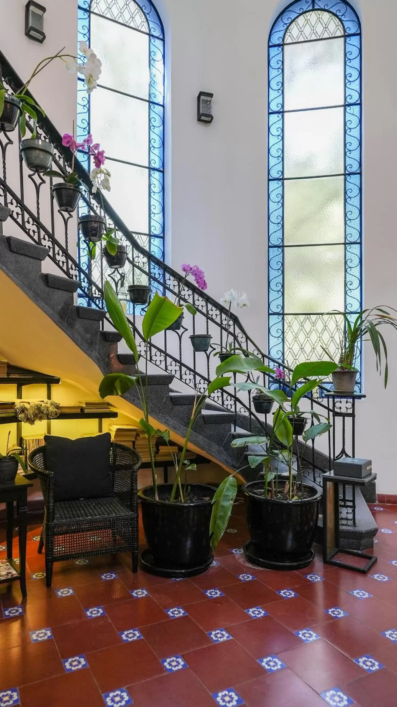 Lobby or reception in Orchid House Mexico City Lobby or reception in Orchid House Mexico City