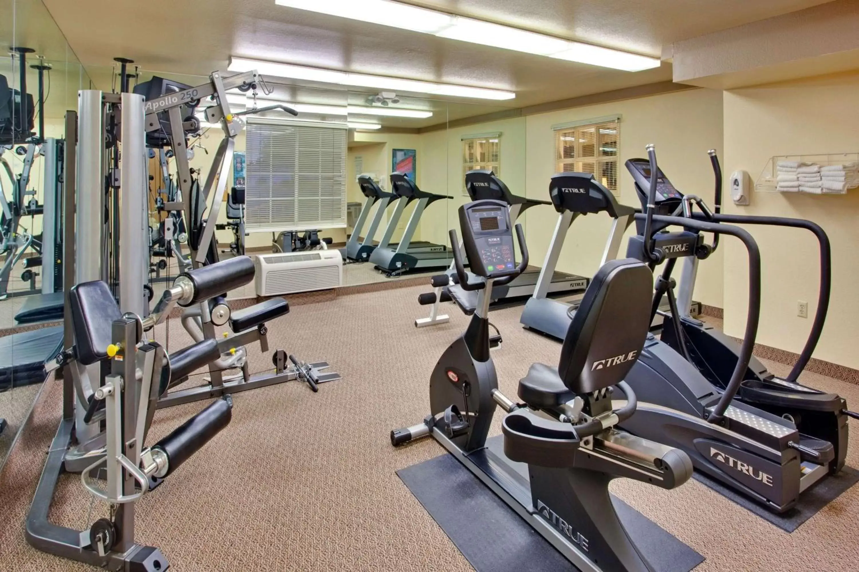 Spa and wellness centre/facilities, Fitness Center/Facilities in Sonesta Simply Suites Phoenix Tempe