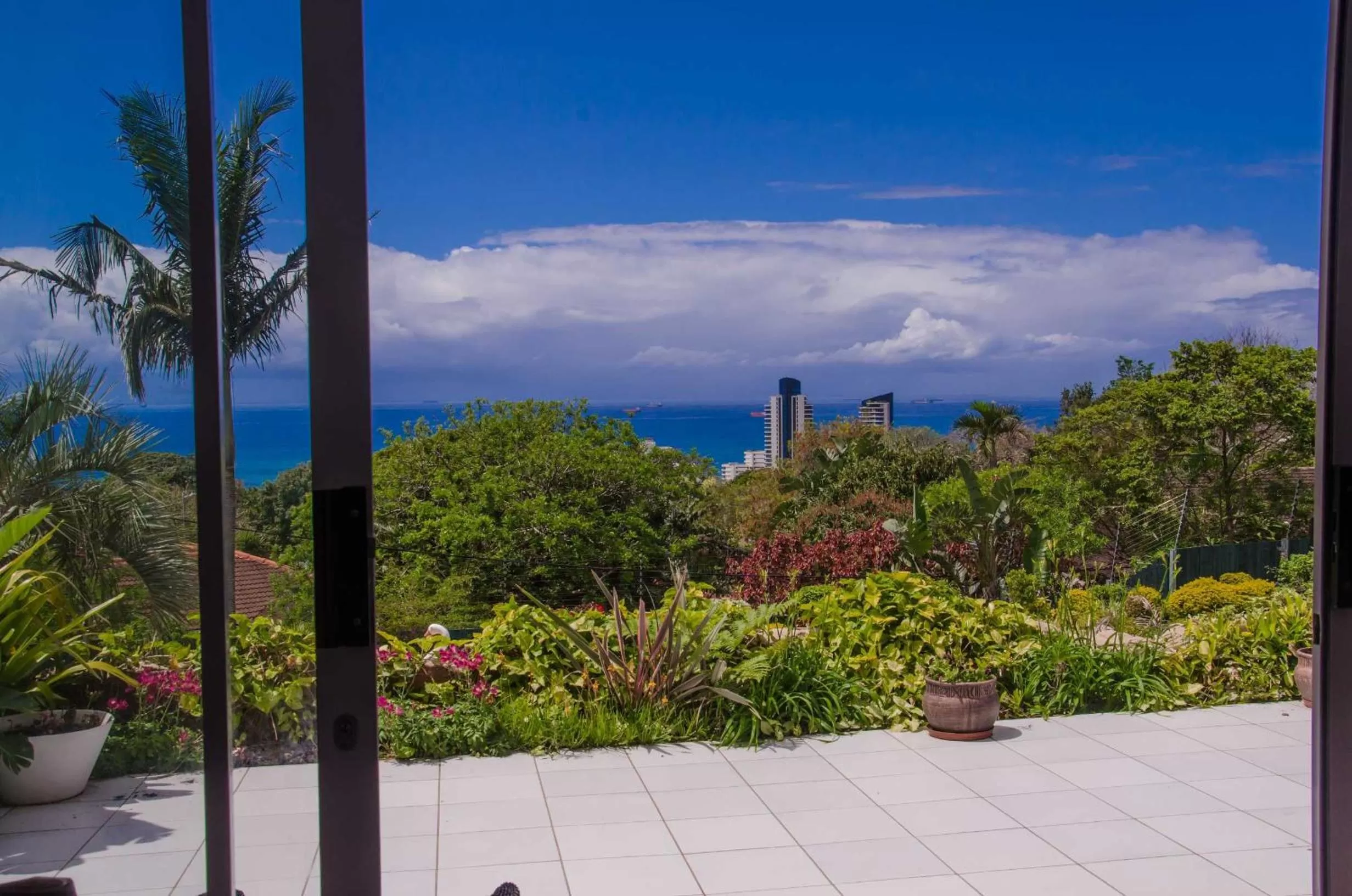 Garden in Addis Bed and Breakfast