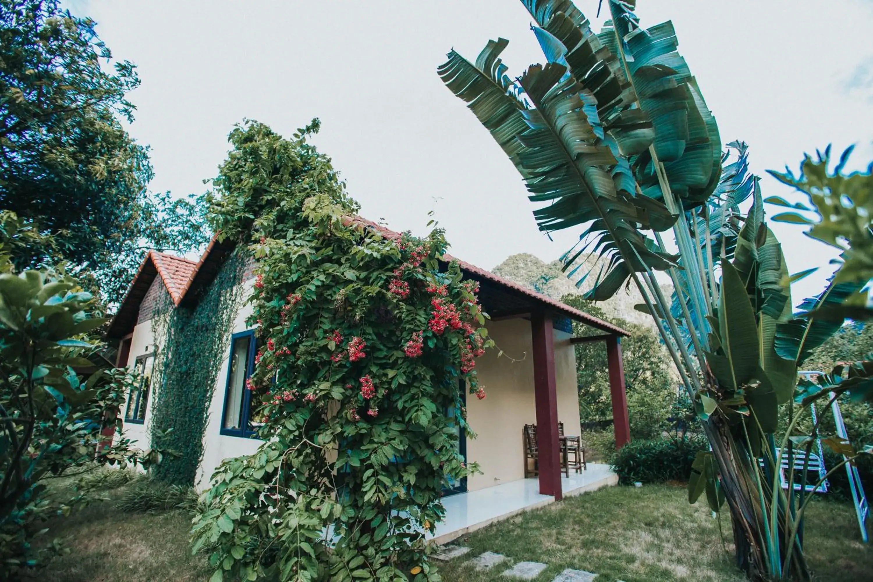 Garden, Property Building in Trang An Retreat