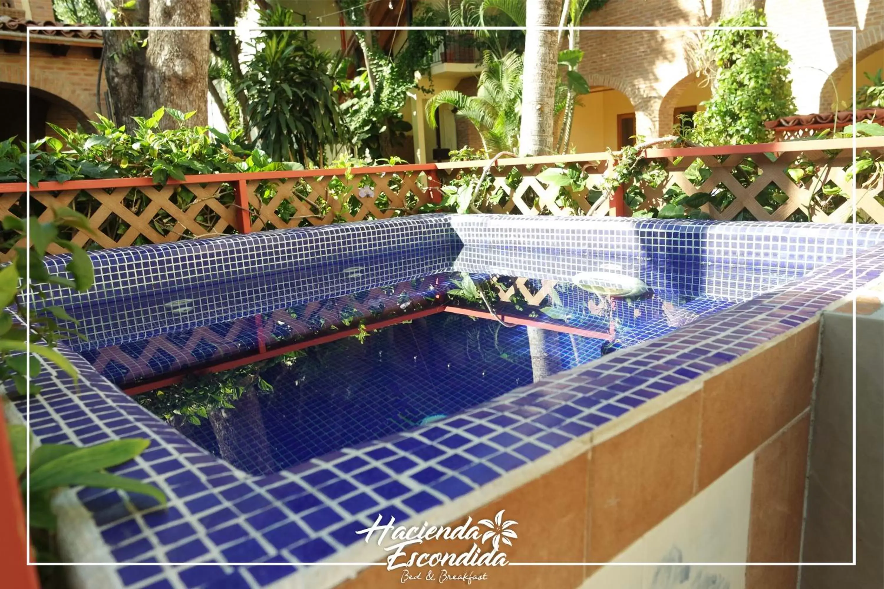 Garden, Swimming Pool in Hacienda Escondida Puerto Vallarta