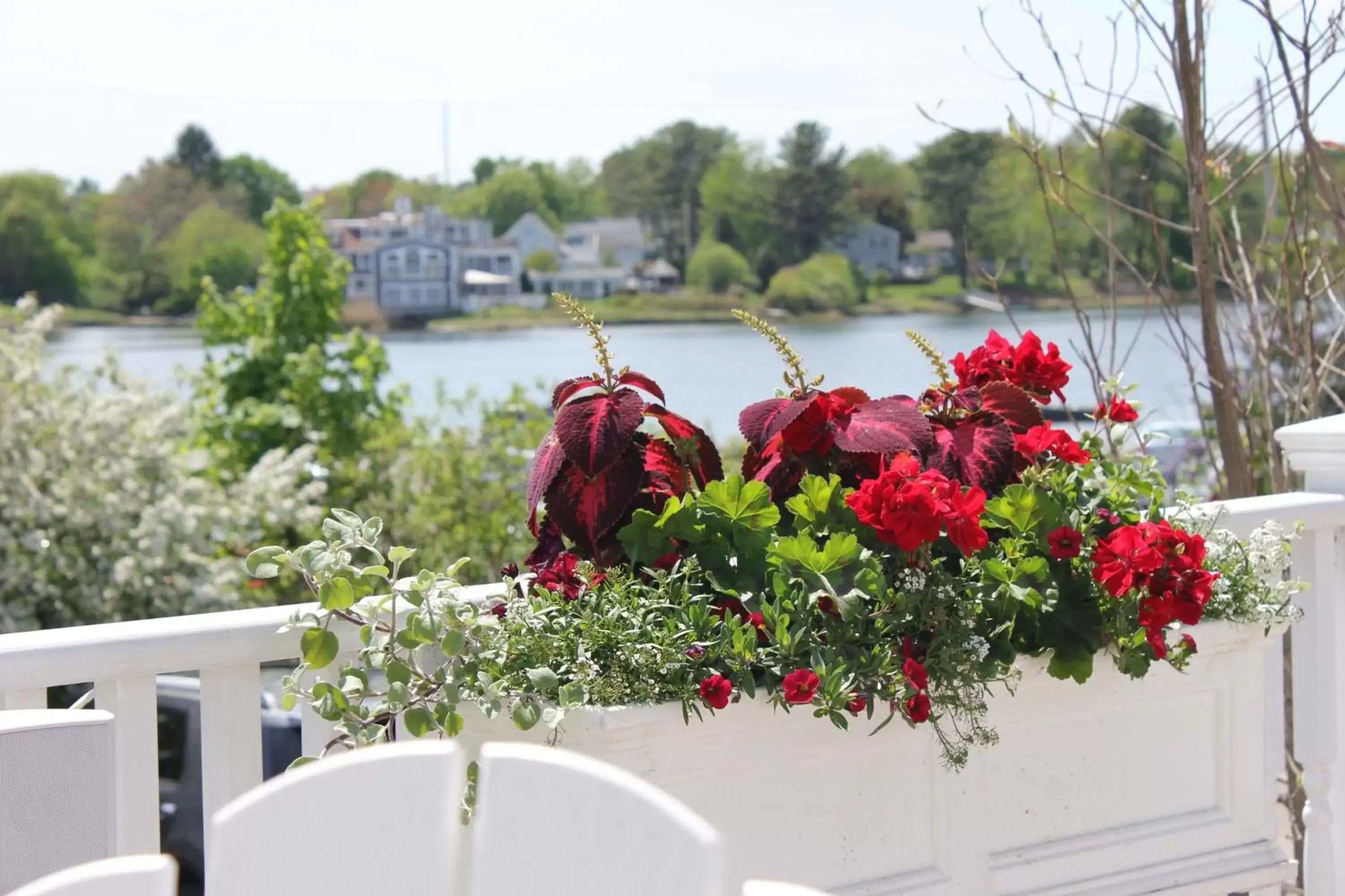 Balcony/Terrace in Kennebunkport Inn