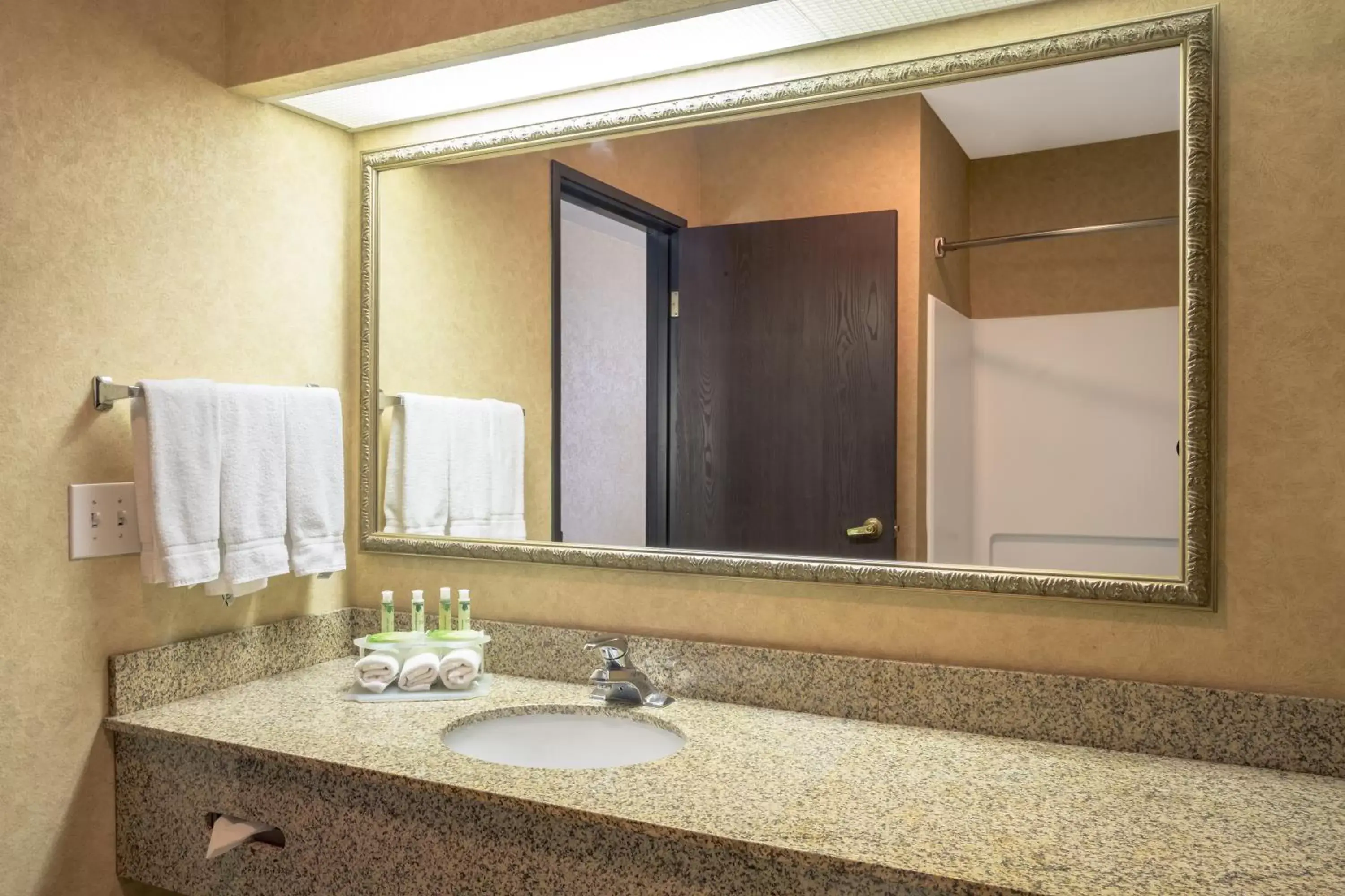 Bathroom in Holiday Inn Express Layton - I-15, an IHG Hotel