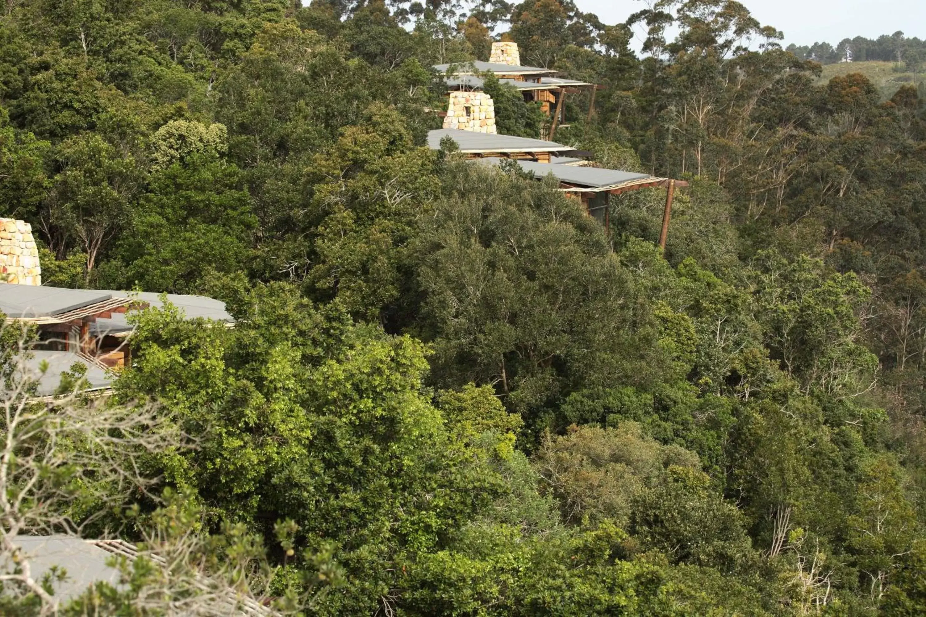 Bird's eye view, Neighborhood in Tsala Treetop Lodge