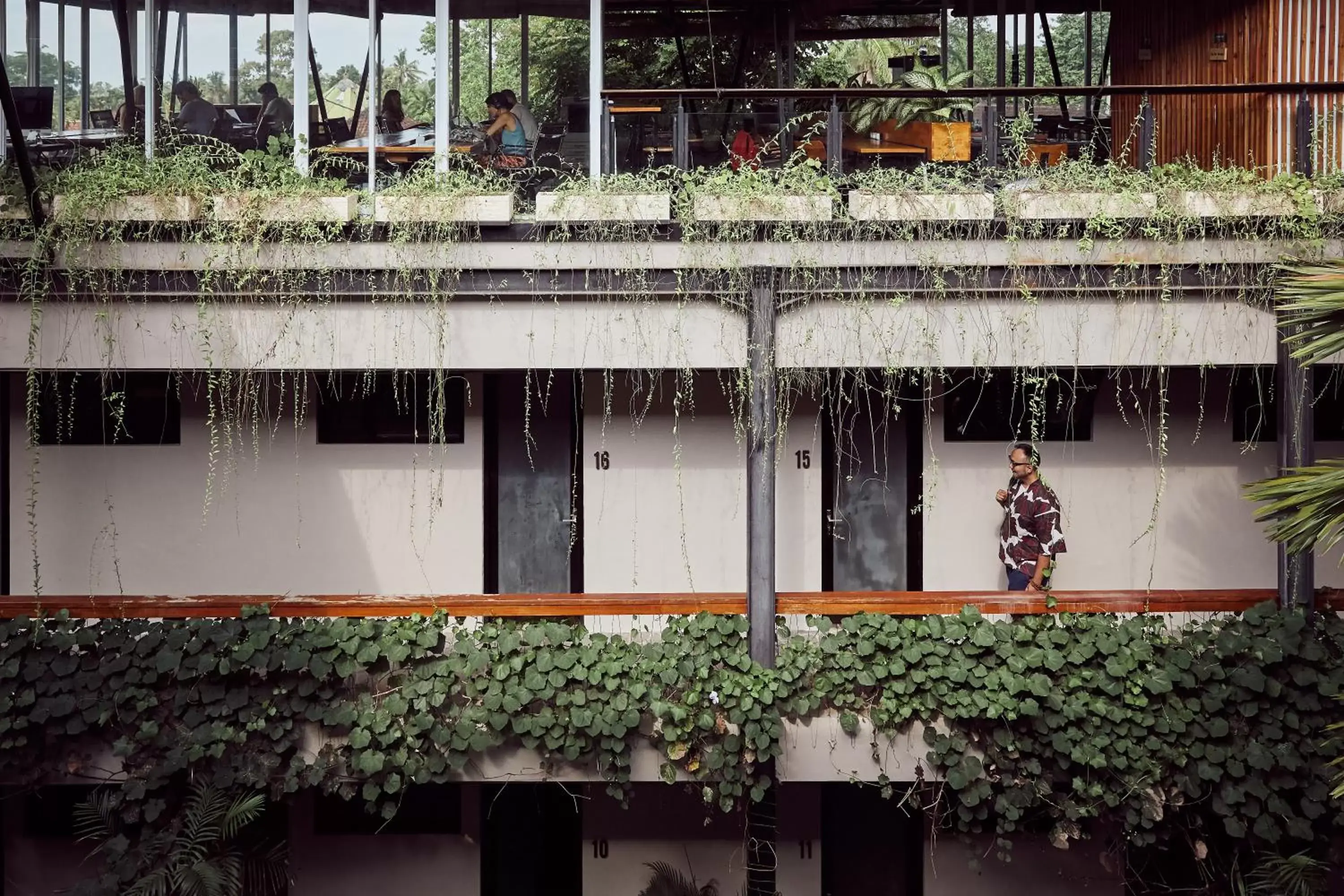 View (from property/room) in Outpost Ubud Penestanan View (from property/room) in Outpost Ubud Penestanan