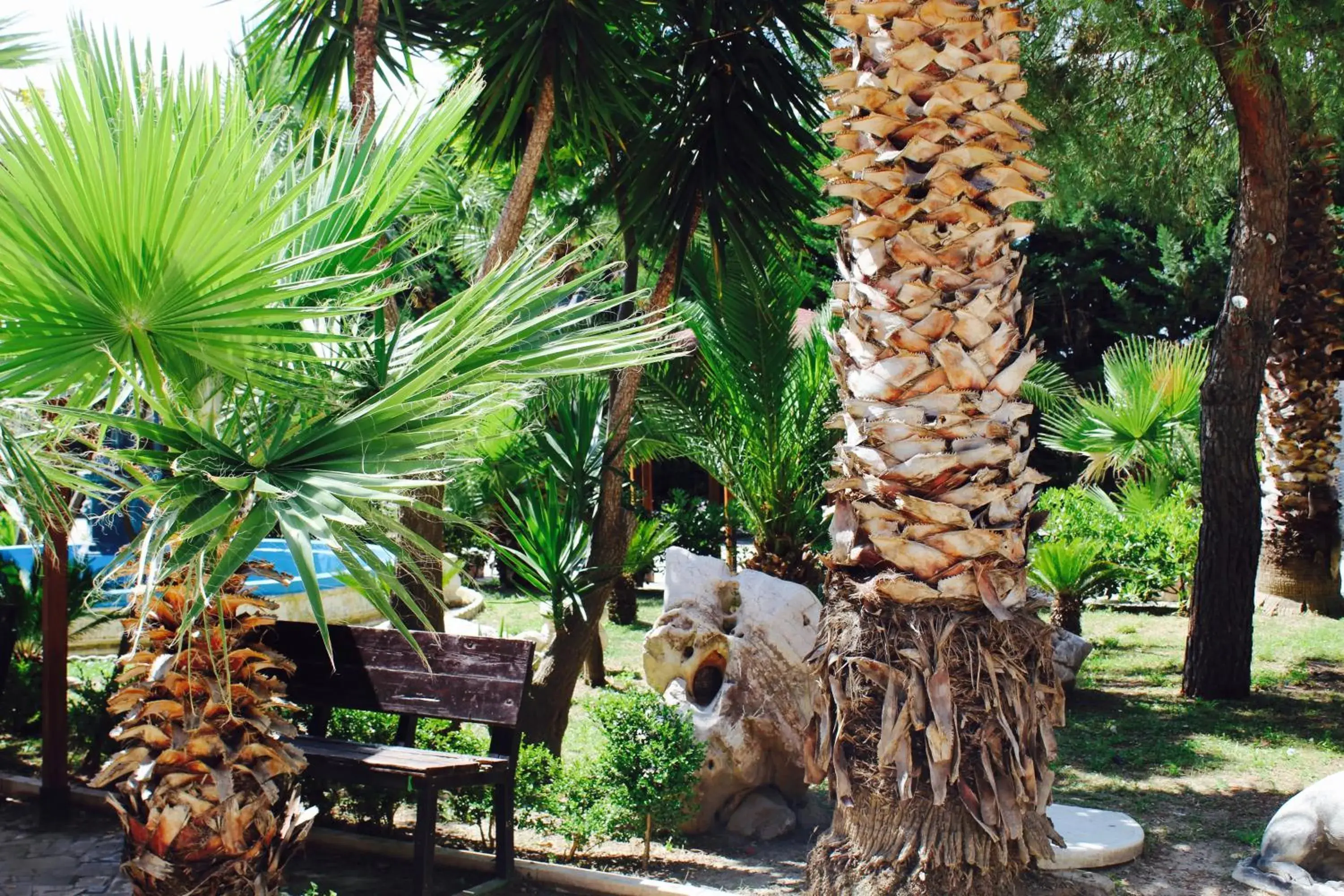 Swimming pool in Balconata 2.0 Banqueting & Accommodations Swimming pool in Balconata 2.0 Banqueting & Accommodations