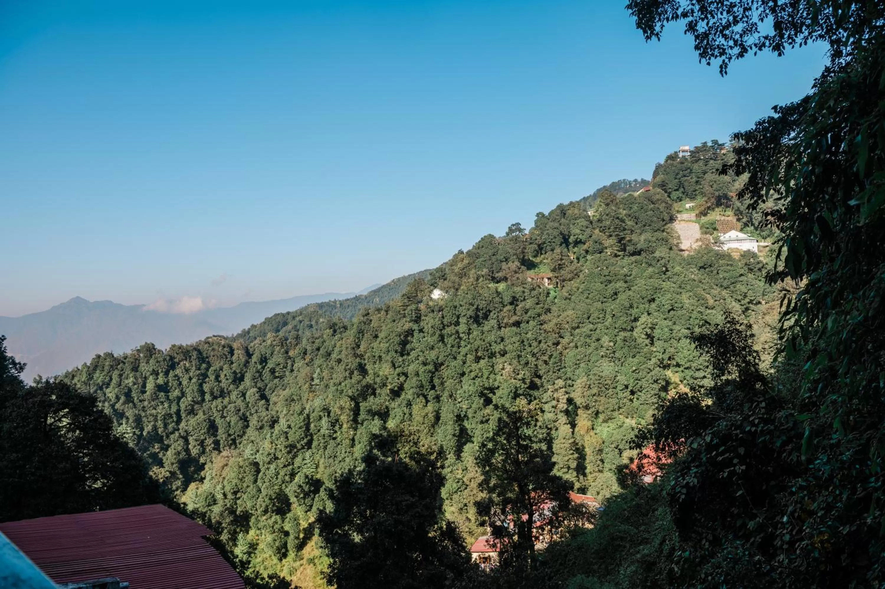 Natural landscape in Hotel Shiva Continental