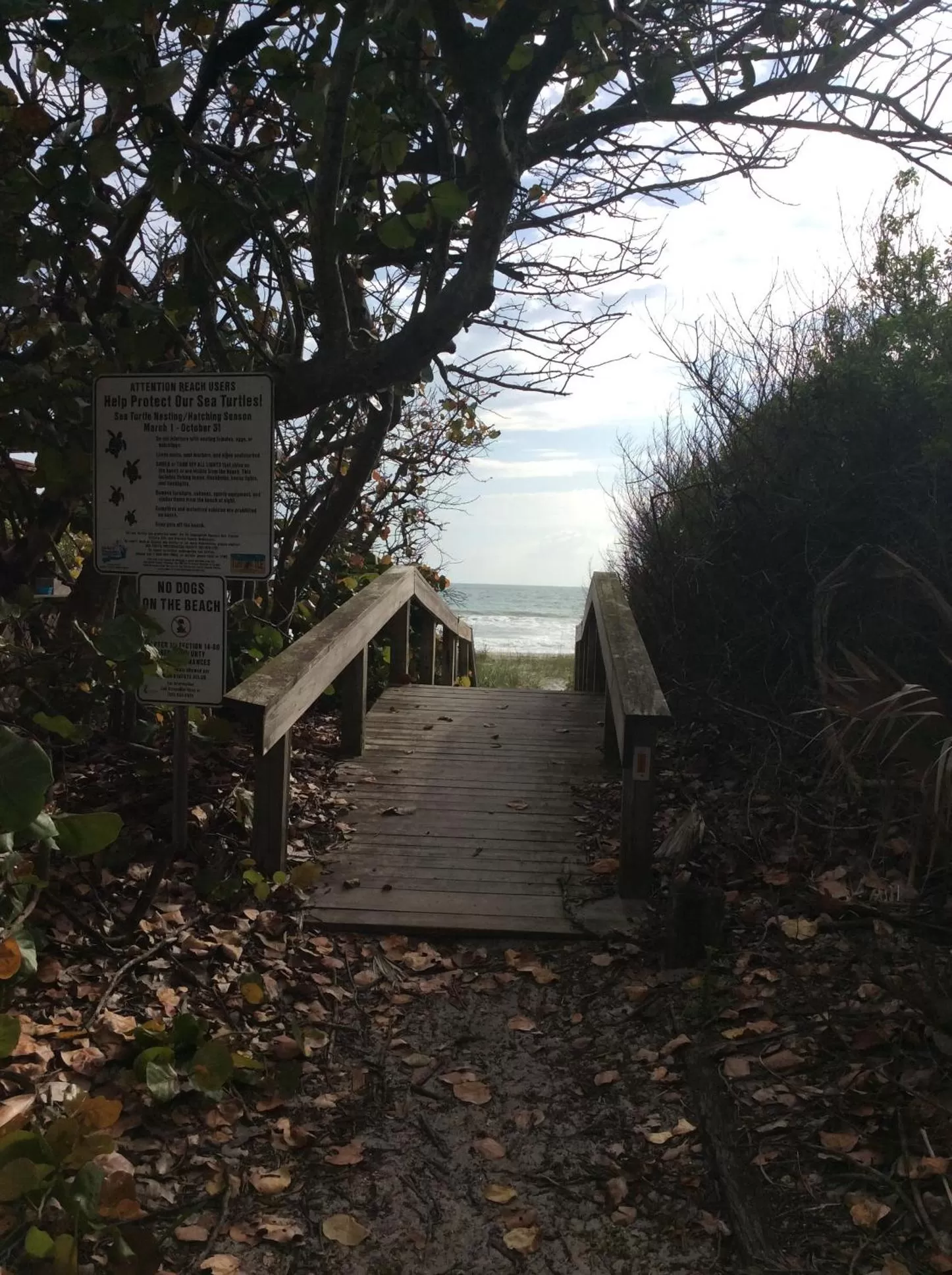 Beach, Property Building in Lost Inn Paradise