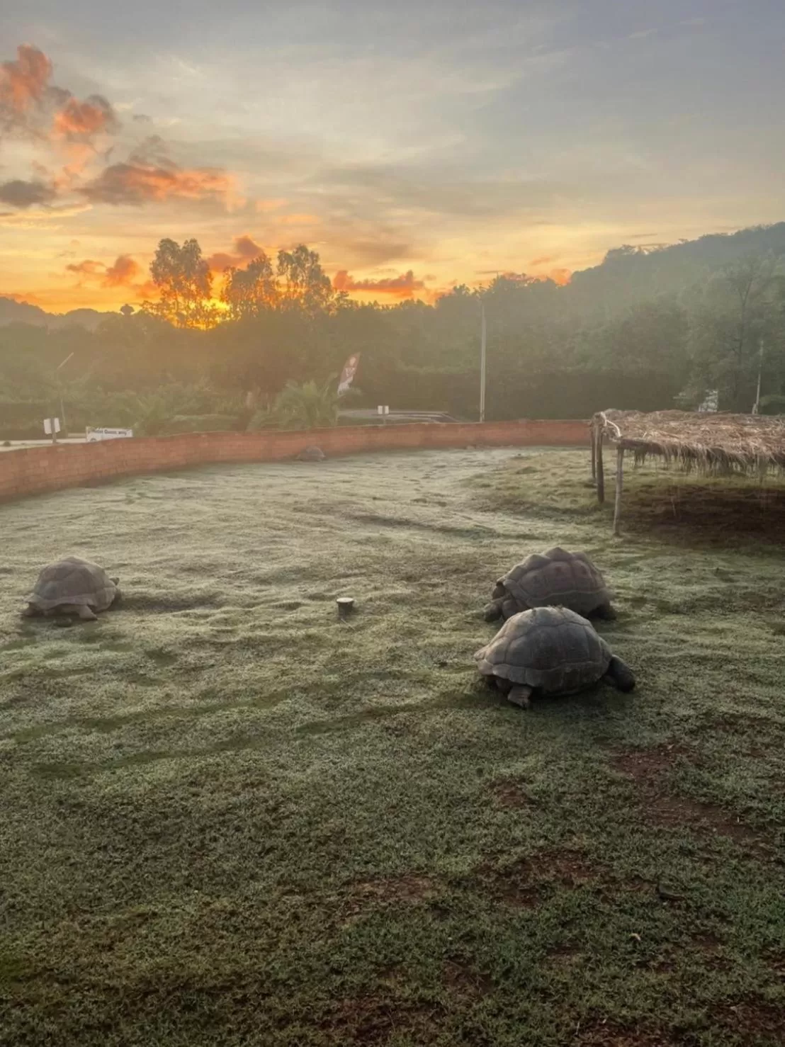 Sunrise/Sunset in Viva Montane Hotel Pattaya