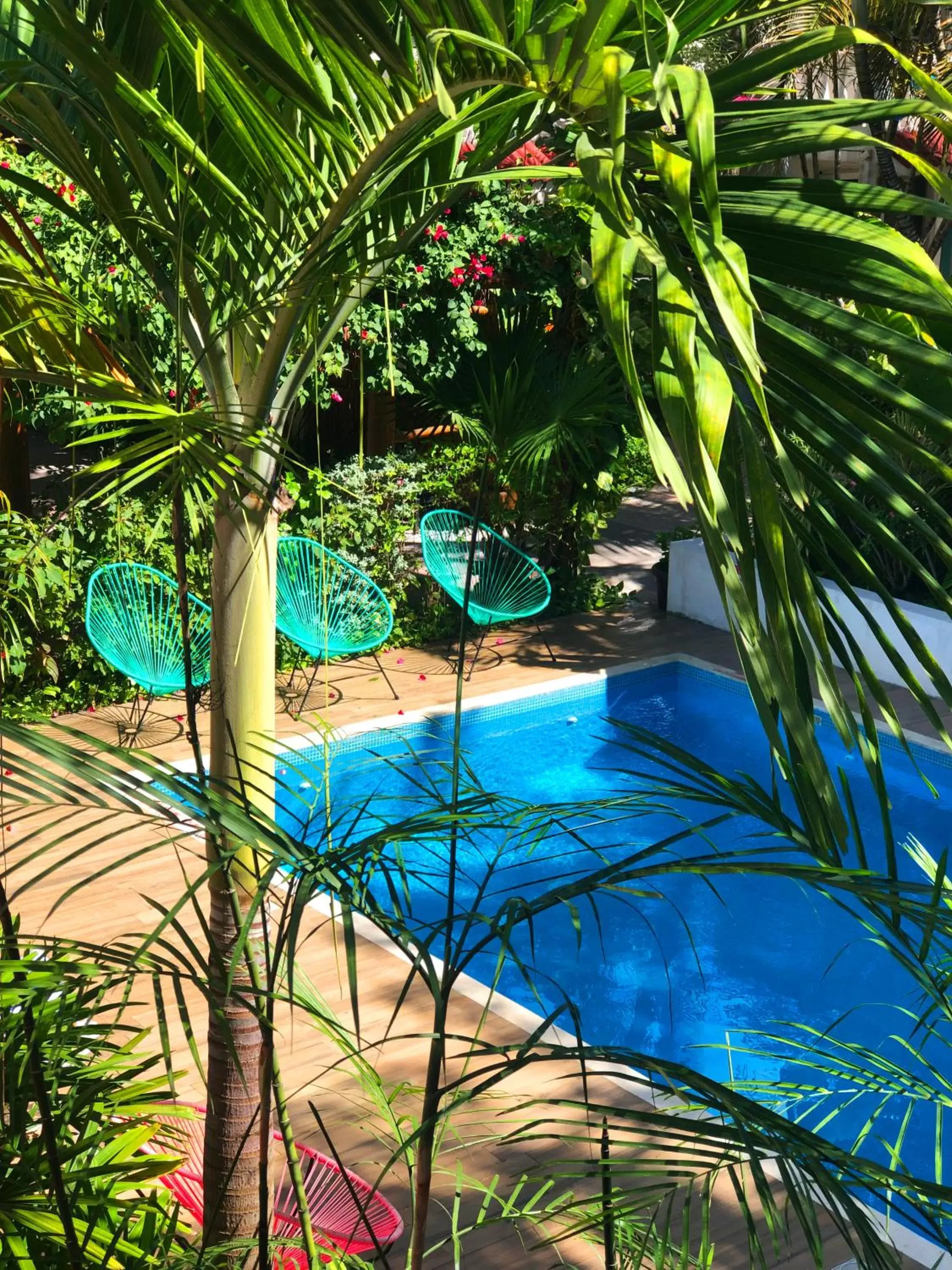 Pool view, Swimming Pool in Hotel Villas Colibrí Suites & Bungalows