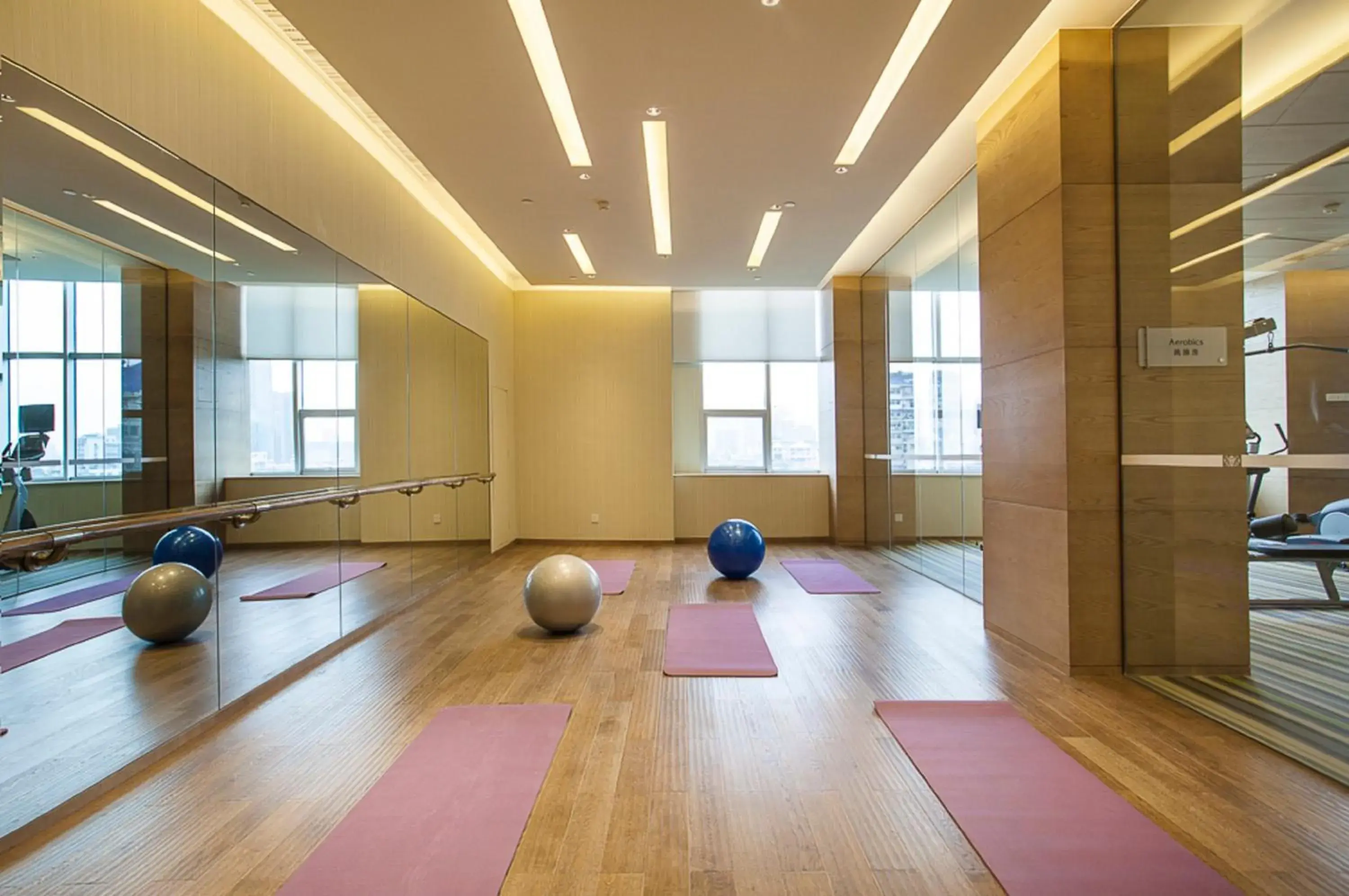 Fitness centre/facilities, Fitness Center/Facilities in Somerset Wusheng Wuhan