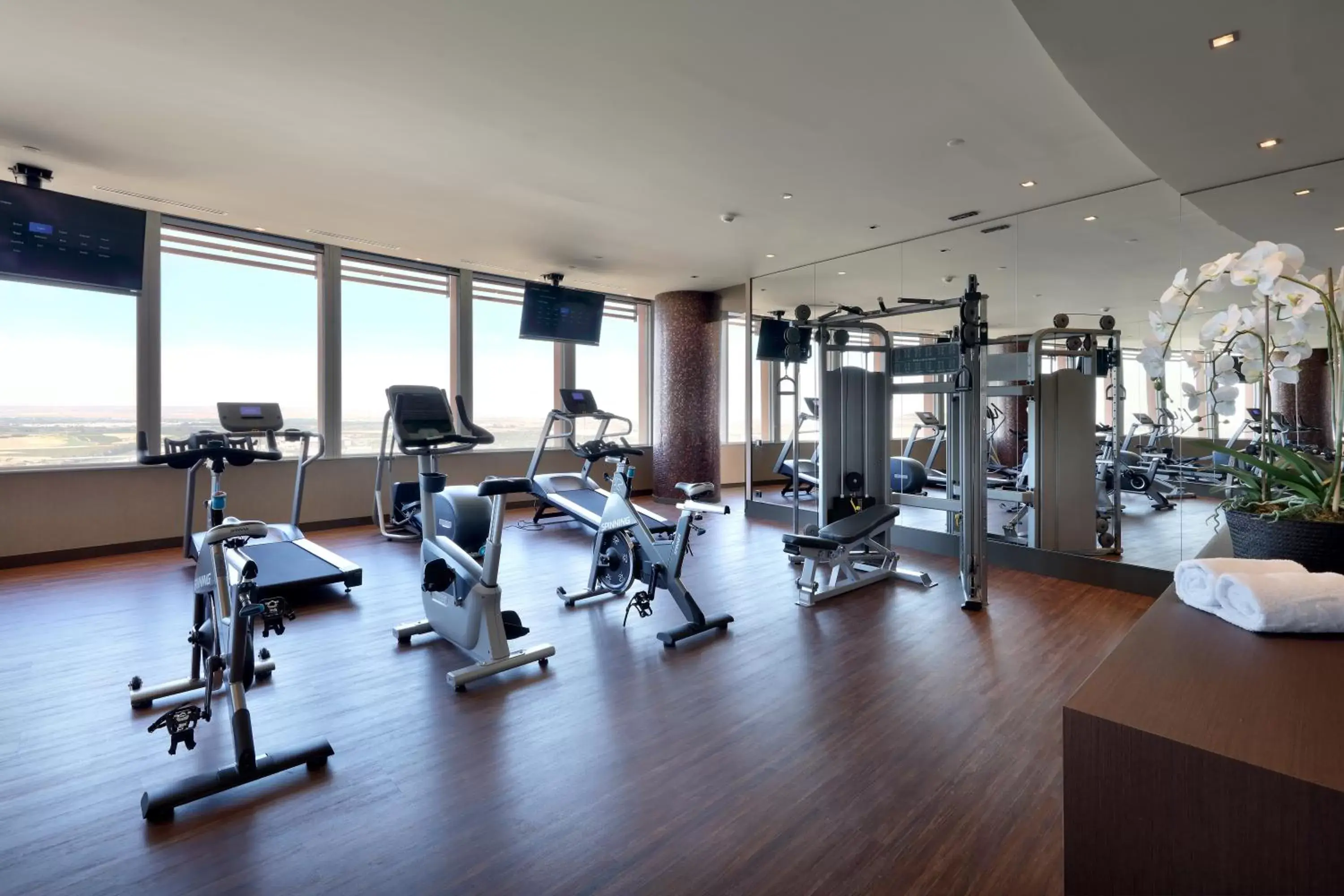 Fitness centre/facilities in Eurostars Torre Sevilla