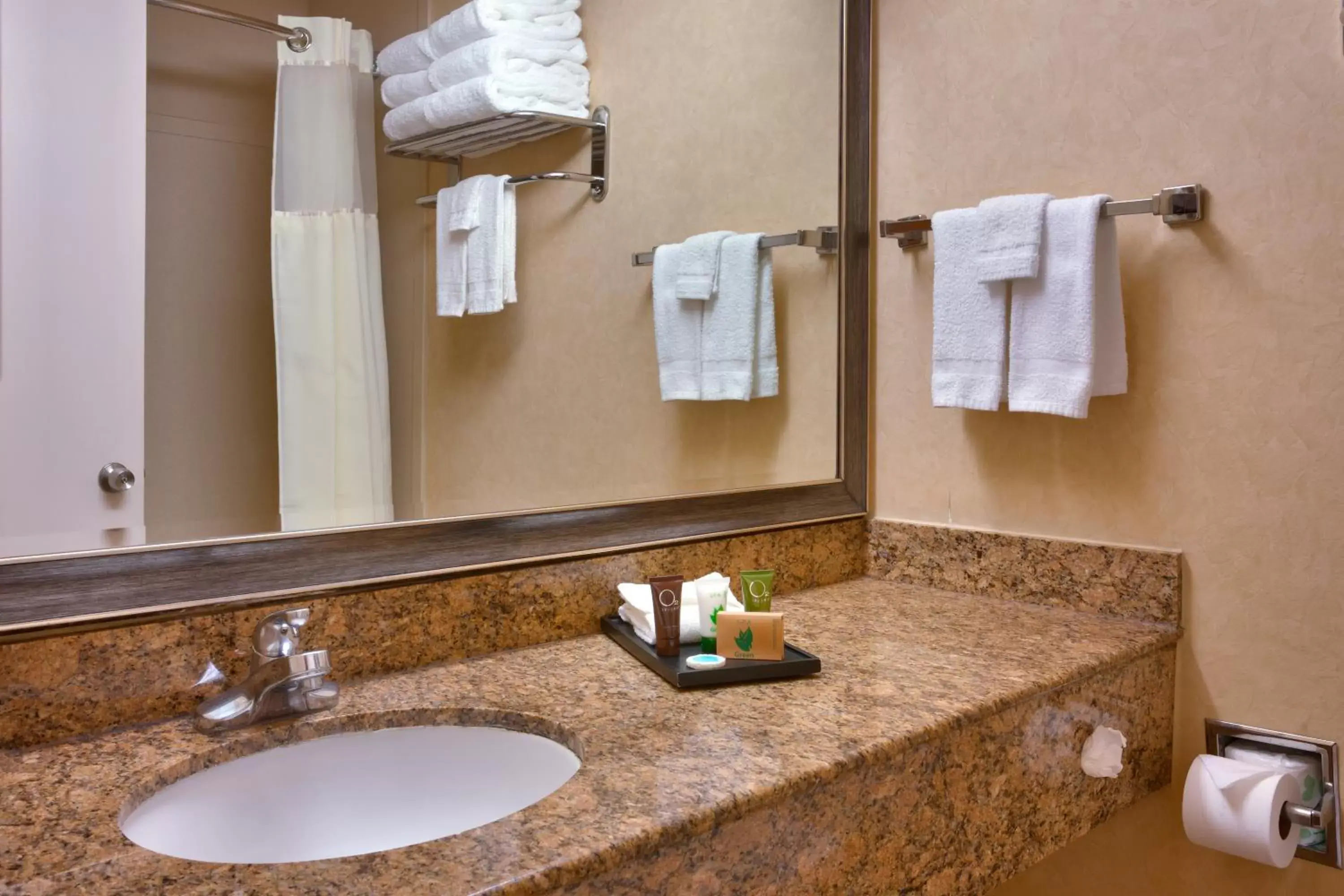 Bathroom in Cortona Inn & Suites