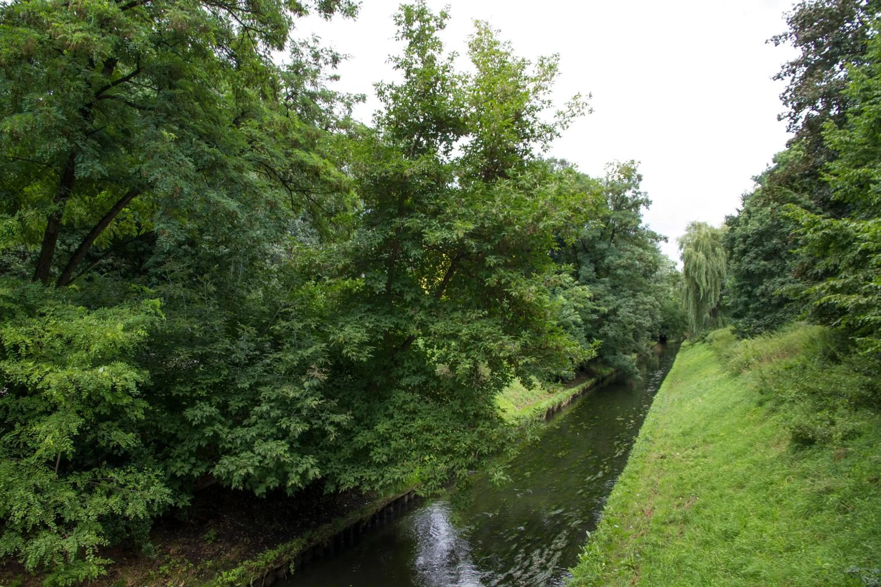 Hiking in BIG MAMA Berlin