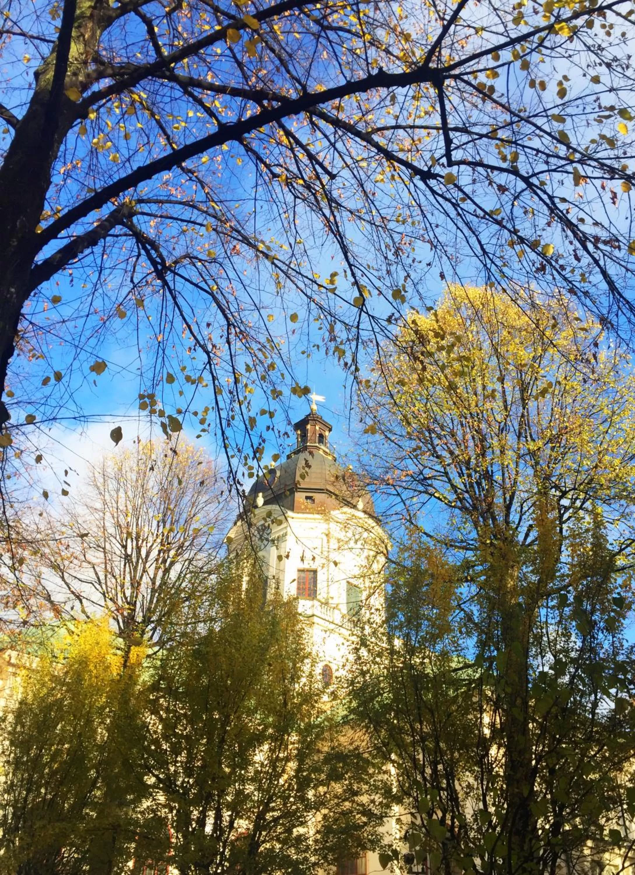 Neighbourhood in Hotel Hötorget