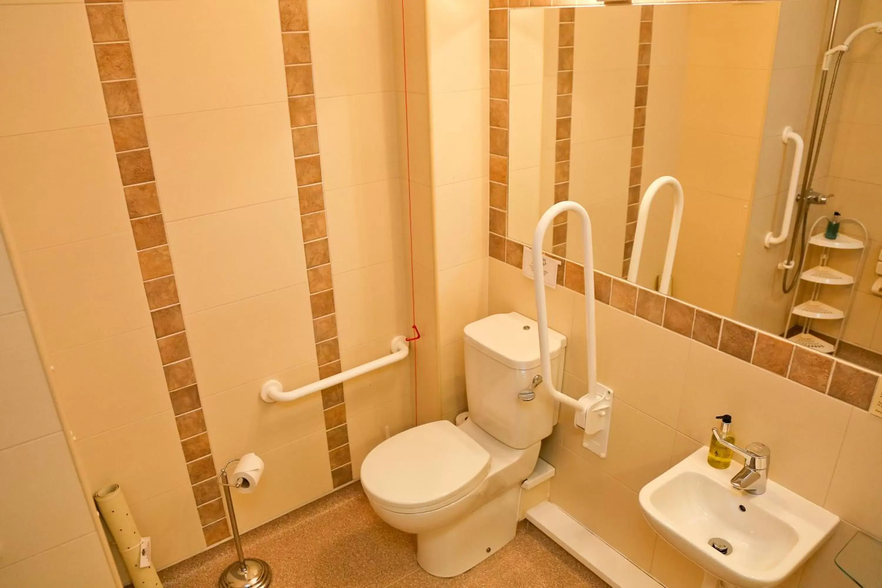 Toilet, Bathroom in Millfields Hotel