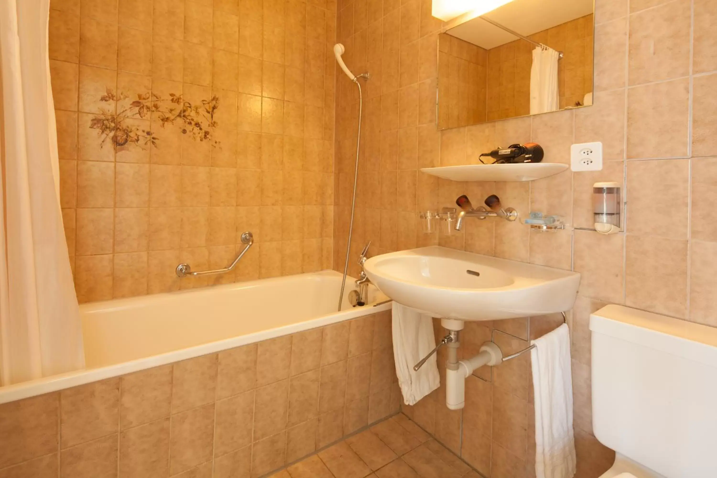 Decorative detail, Bathroom in Hotel Central Continental