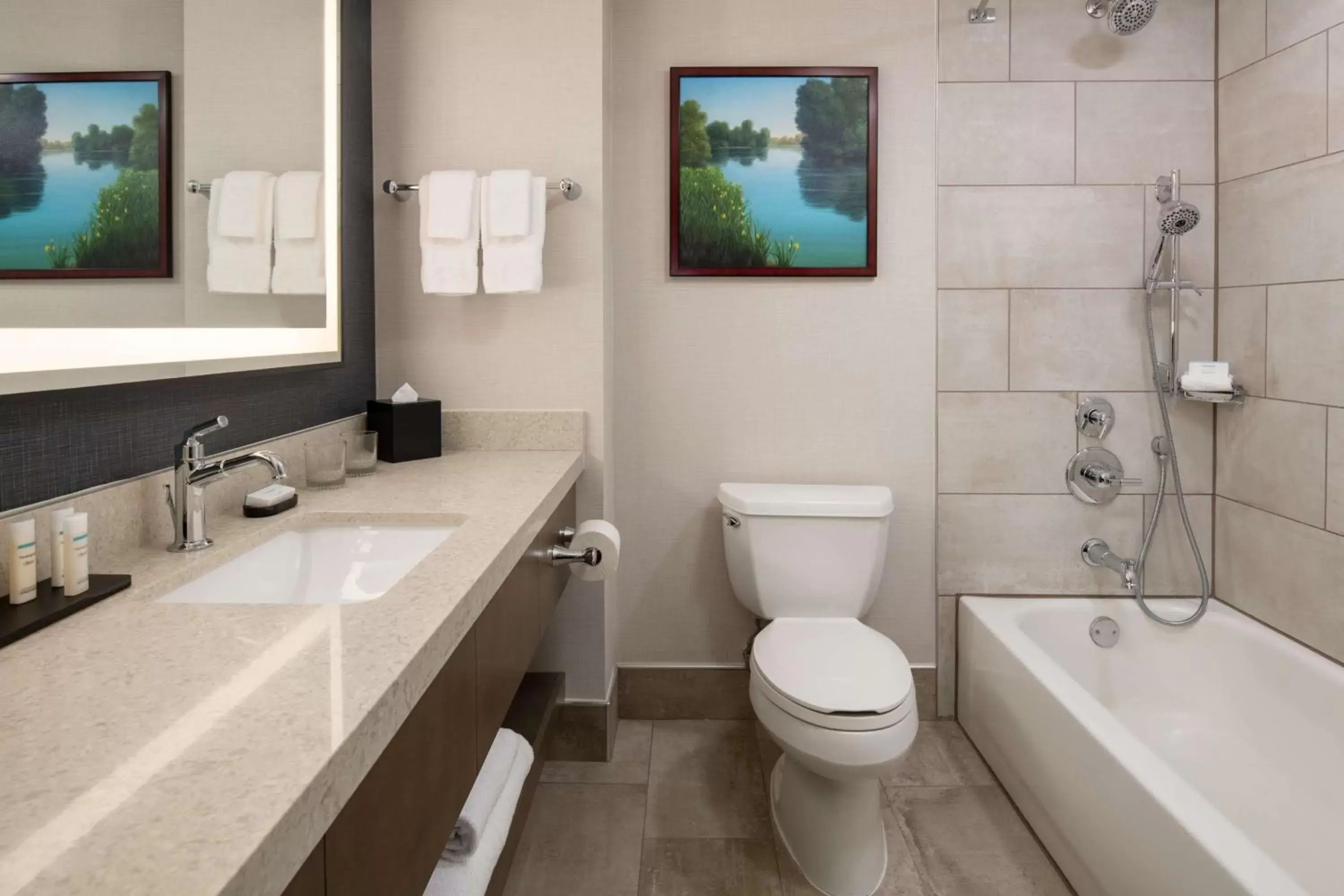 Bathroom in Embassy Suites by Hilton Sacramento Riverfront Promenade