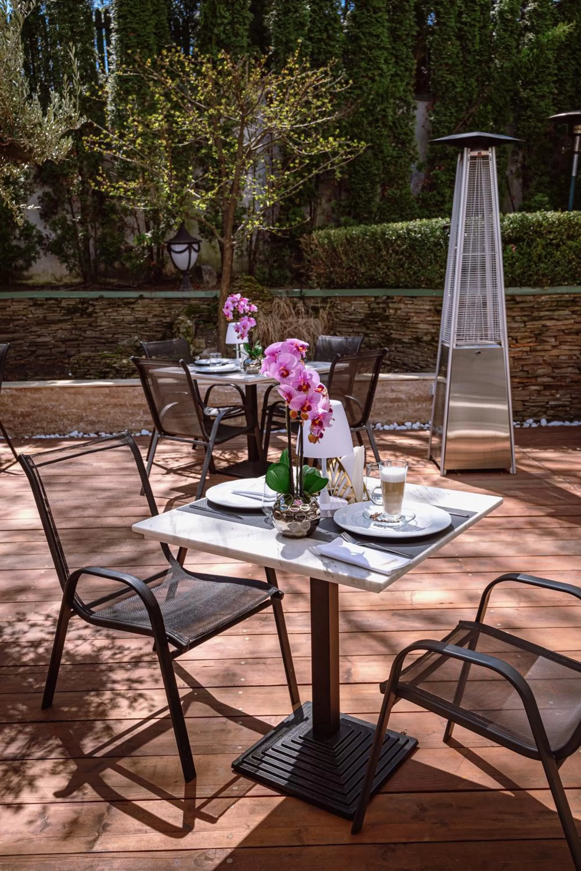 Garden in Hotel Carpathia