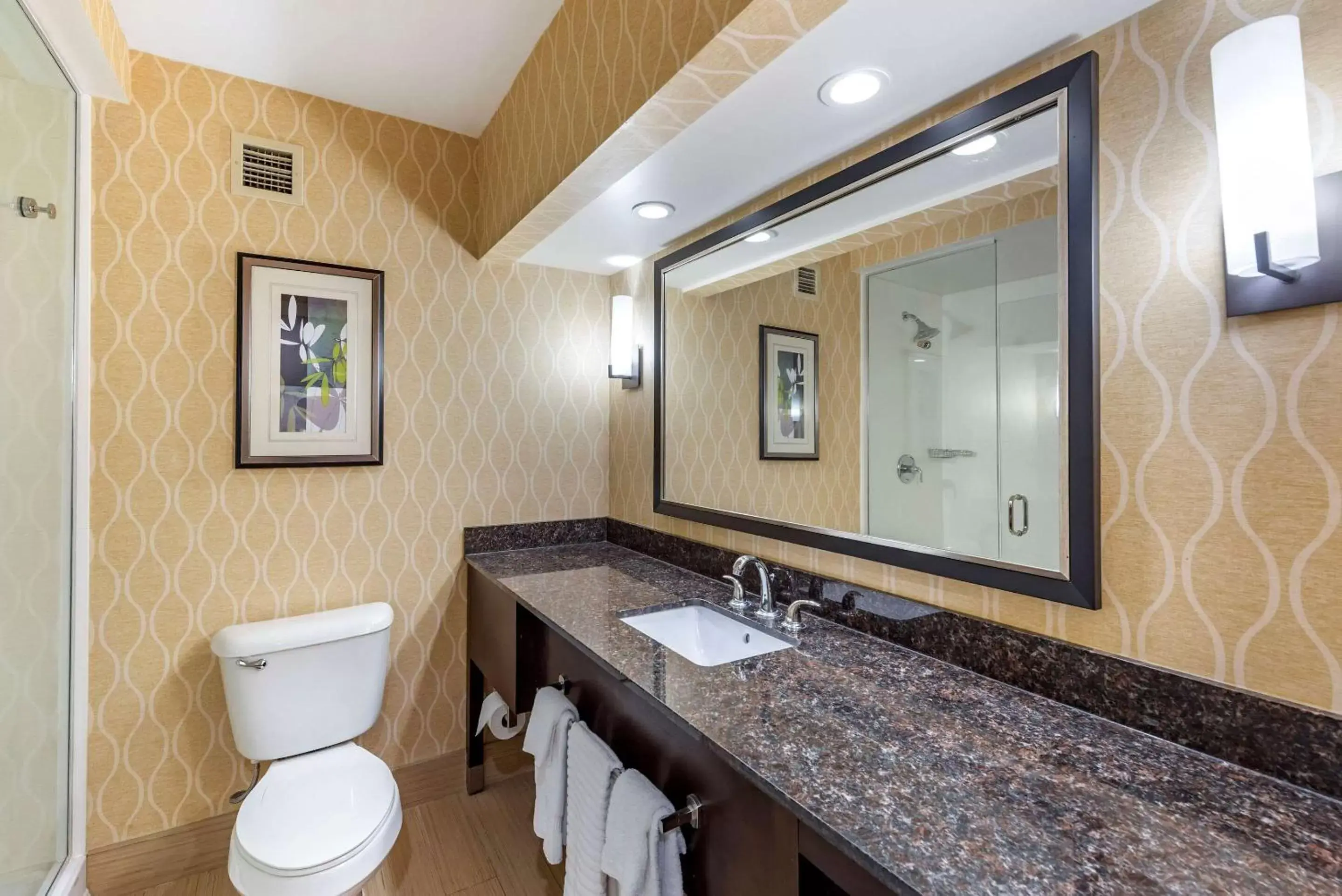 Bathroom in Comfort Suites Chesapeake - Norfolk
