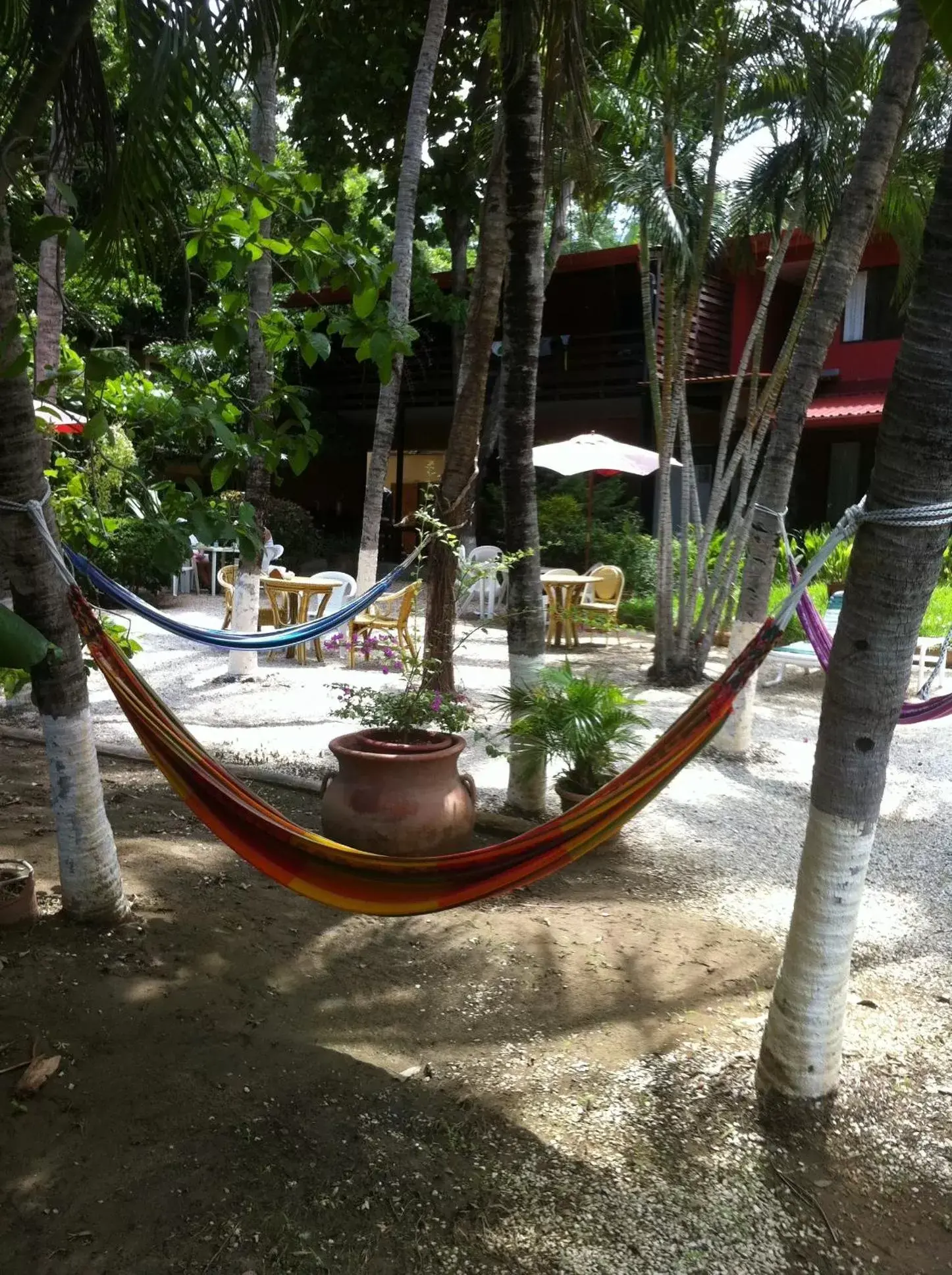 Seating area in Hotel Laguna del Cocodrilo