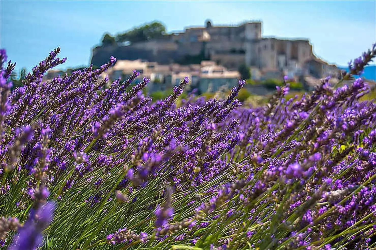 Natural landscape in Première Classe Martigues