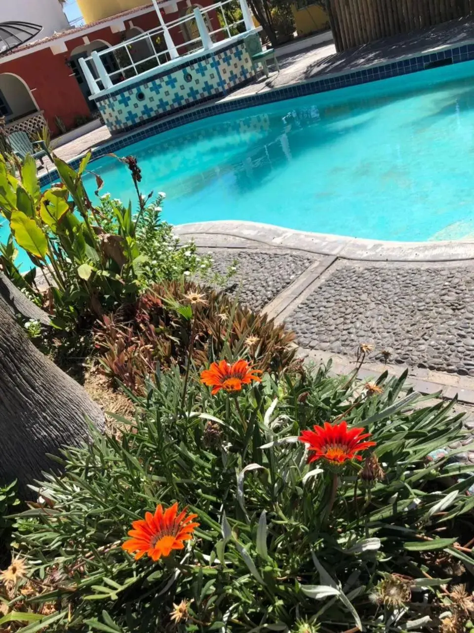 Decorative detail, Swimming Pool in Hotel Calafia