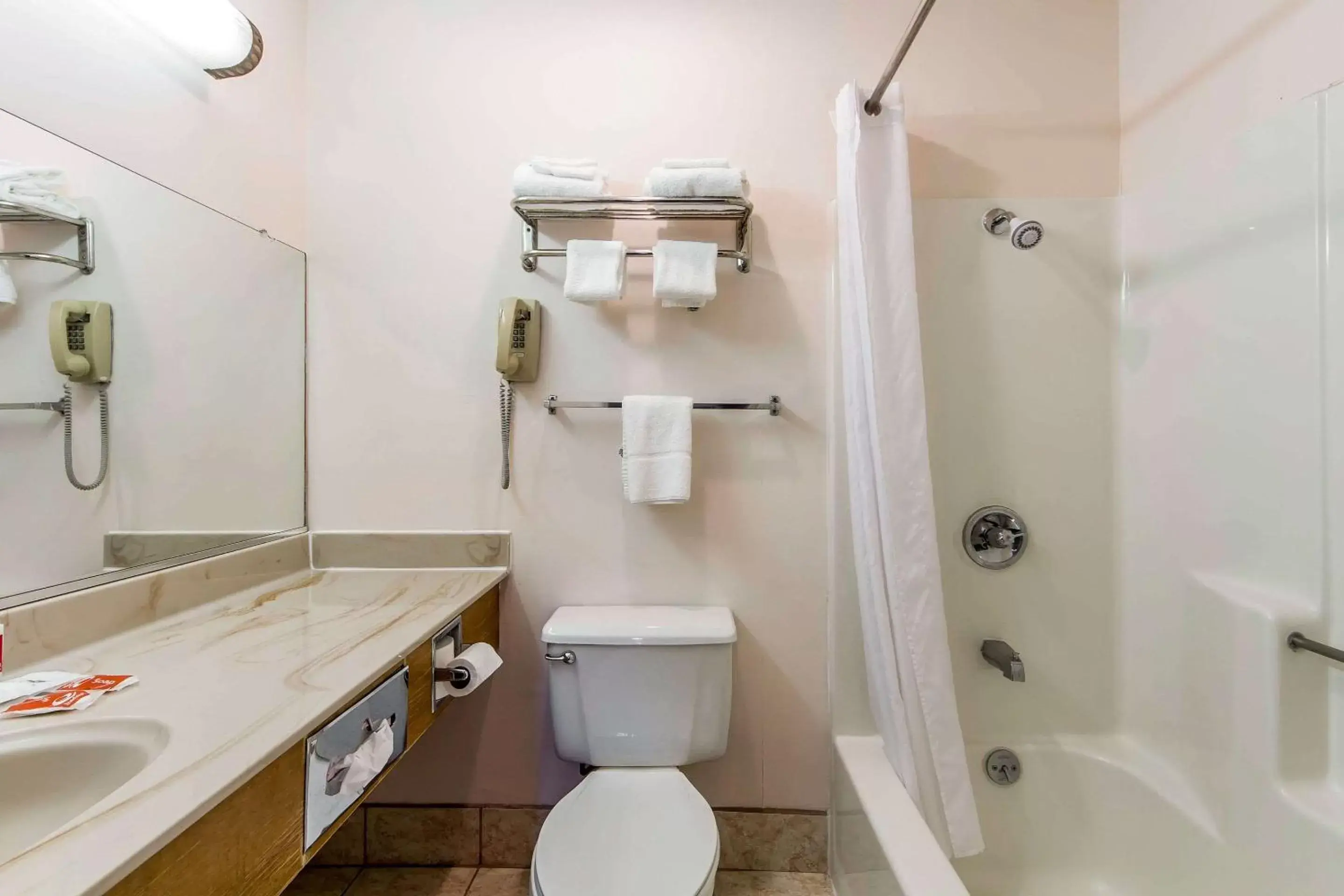 Bathroom in Econo Lodge Castro Valley I-580
