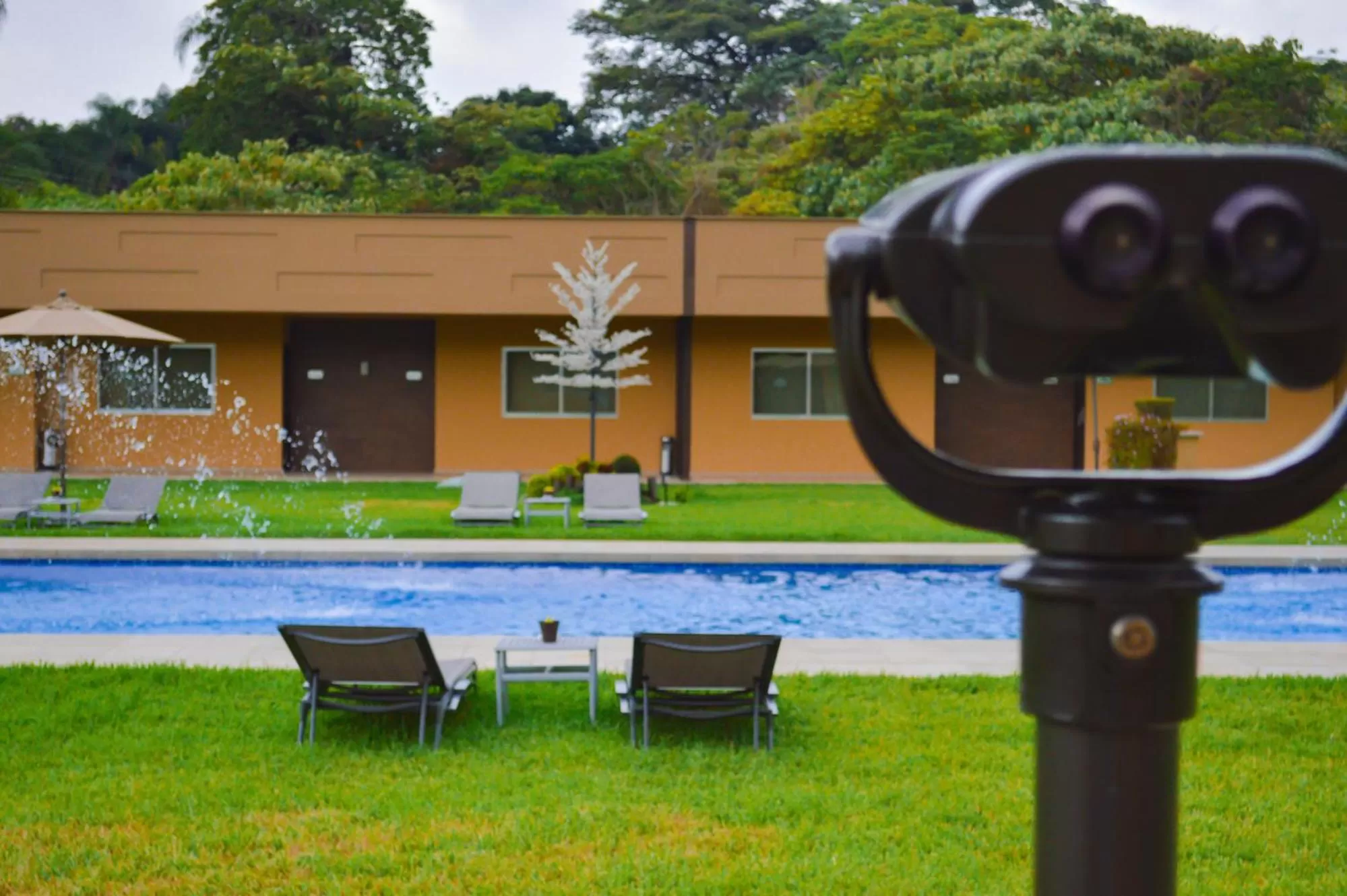 Layfer Express, Córdoba, Ver