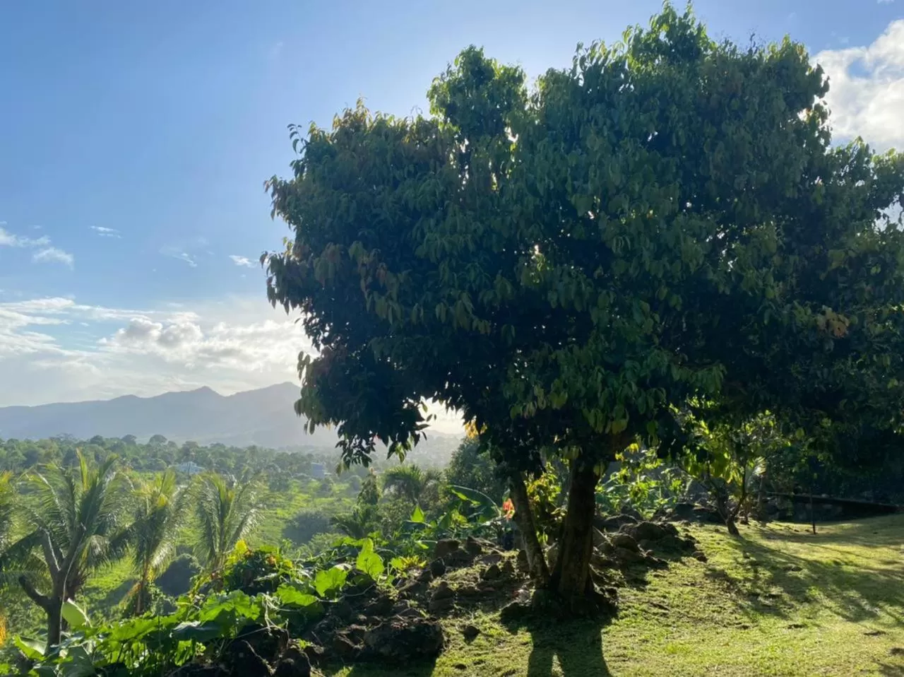 Villa Cajou chambres d'hôtes chez l'habitant et Zanzibar cottage