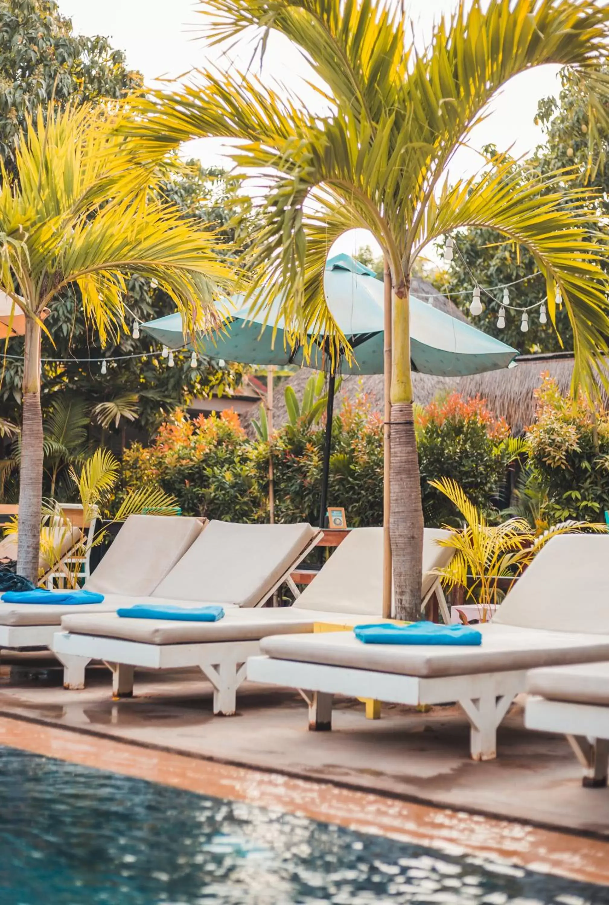 Garden, Swimming Pool in Baby Elephant Boutique Hotel