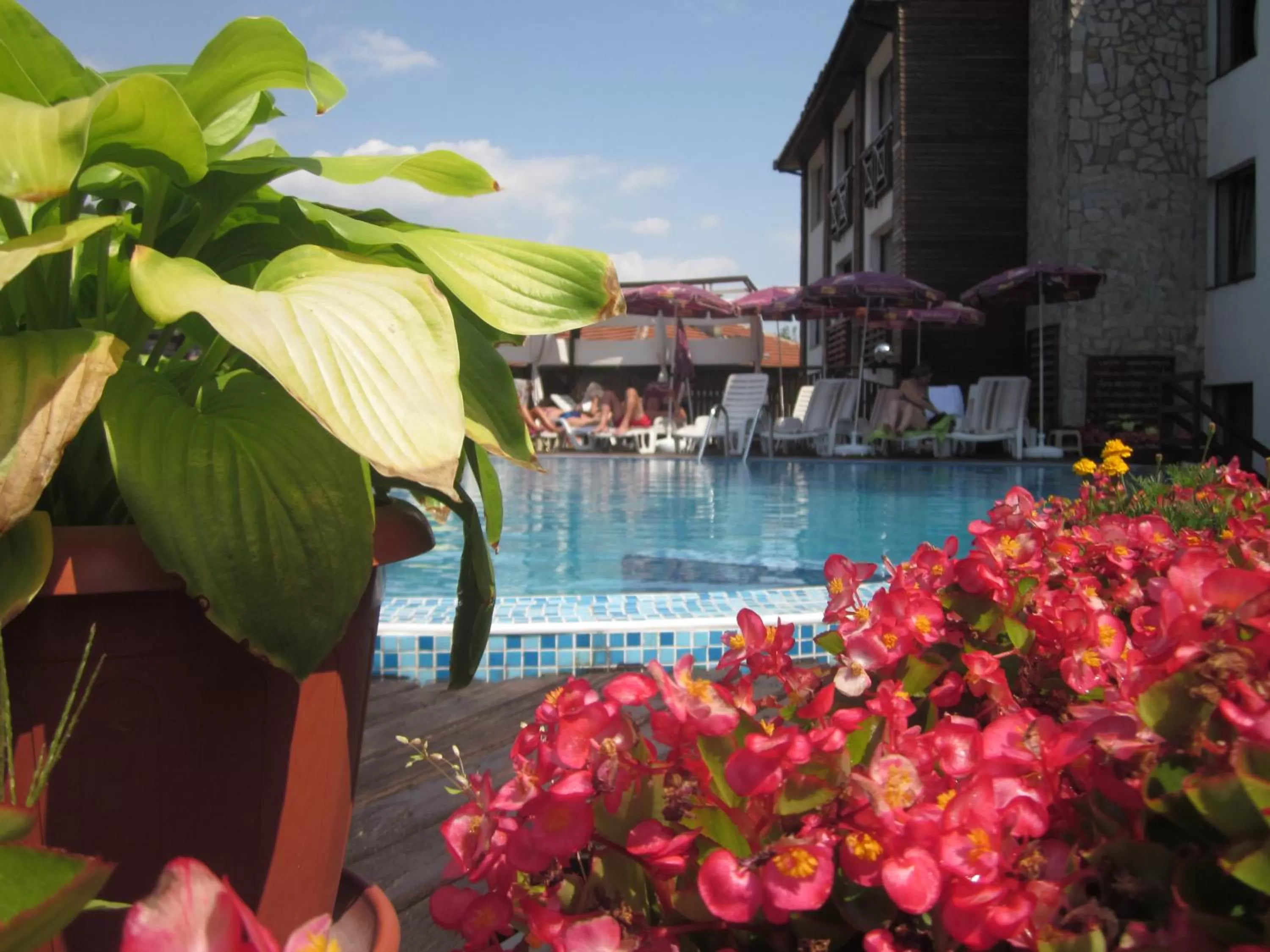 Swimming pool in Spa Hotel Kleptuza