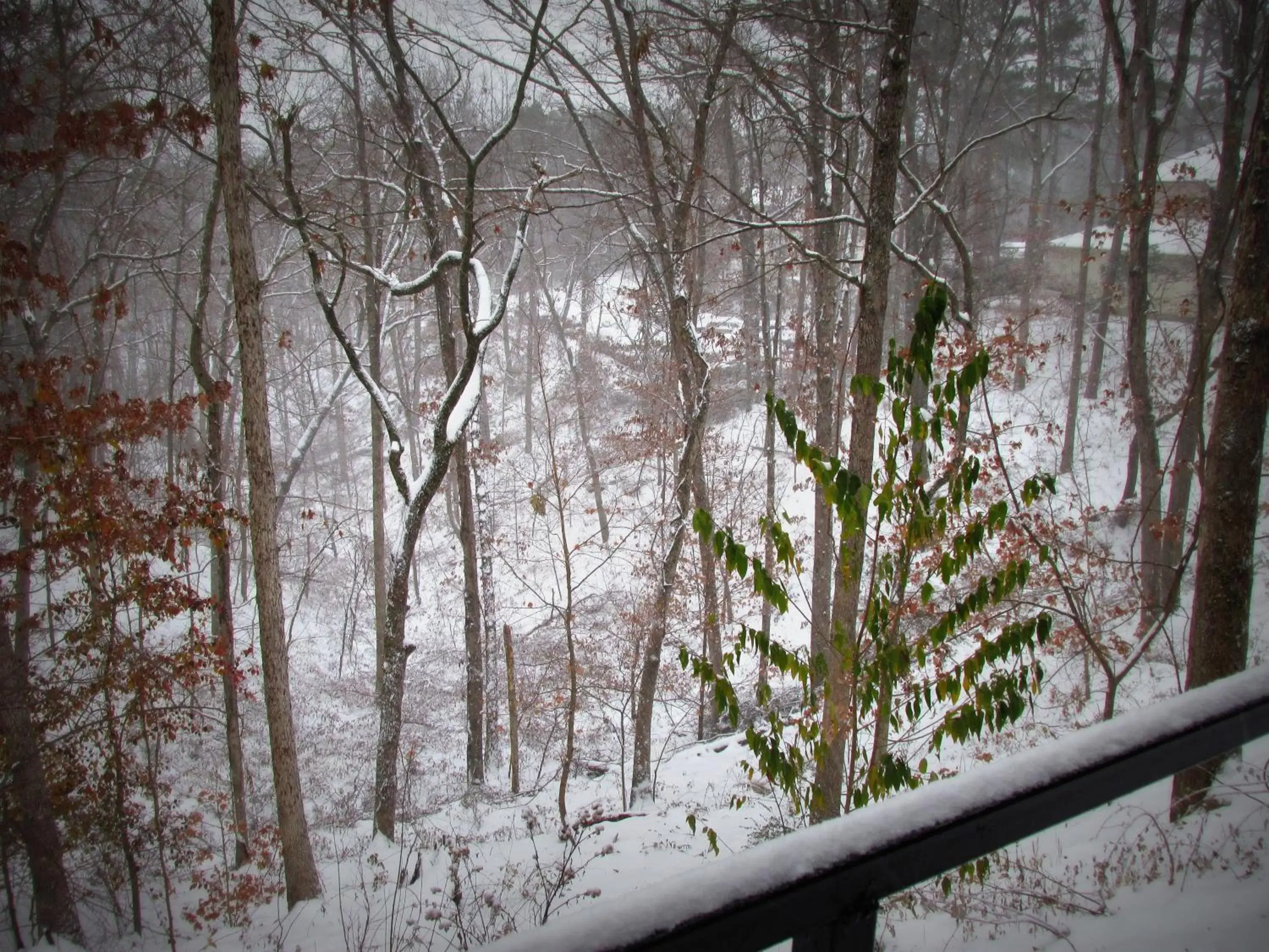 View (from property/room), Winter in Brydan Suites