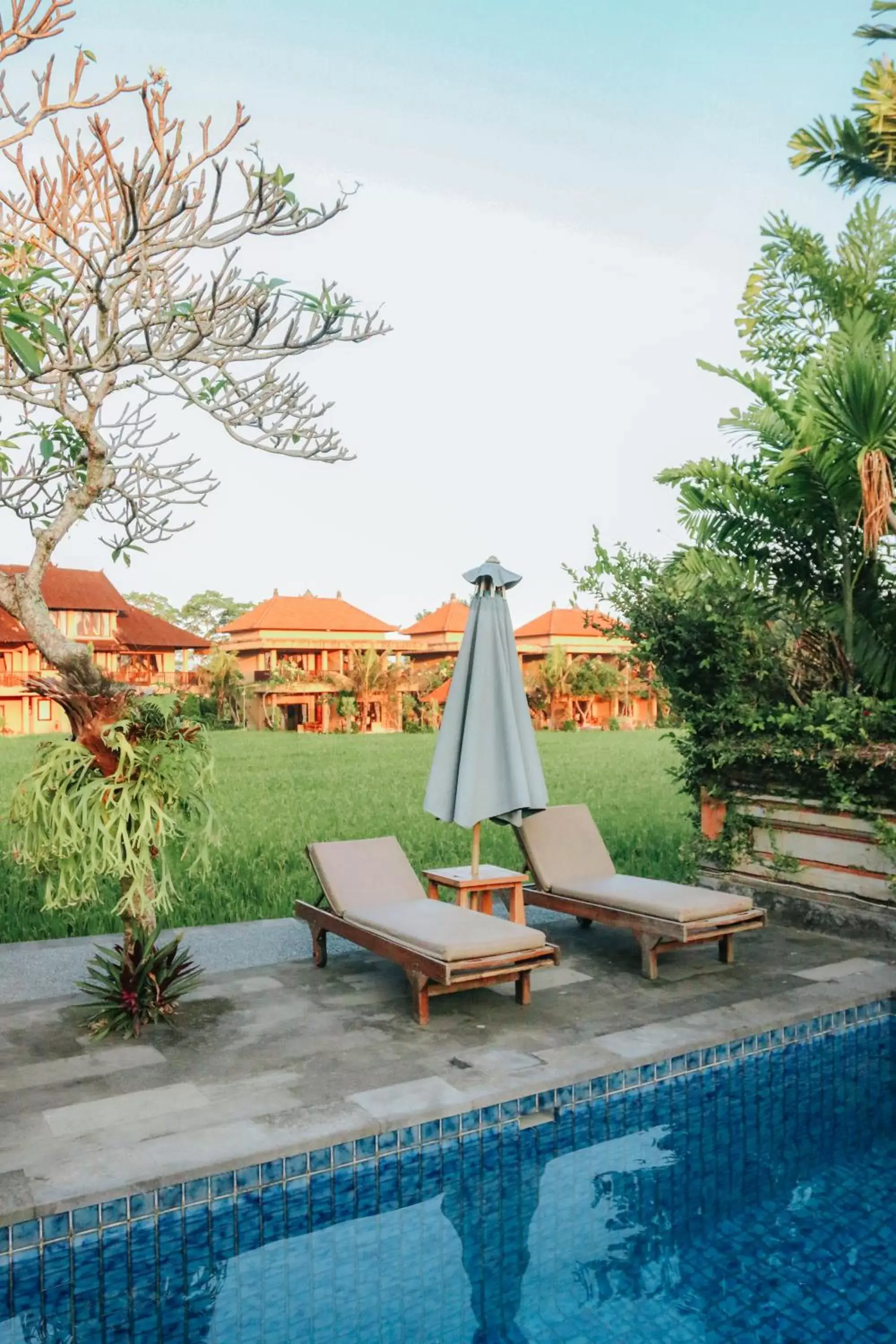 Swimming Pool in Sri Aksata Ubud Resort by Adyatma Hospitality