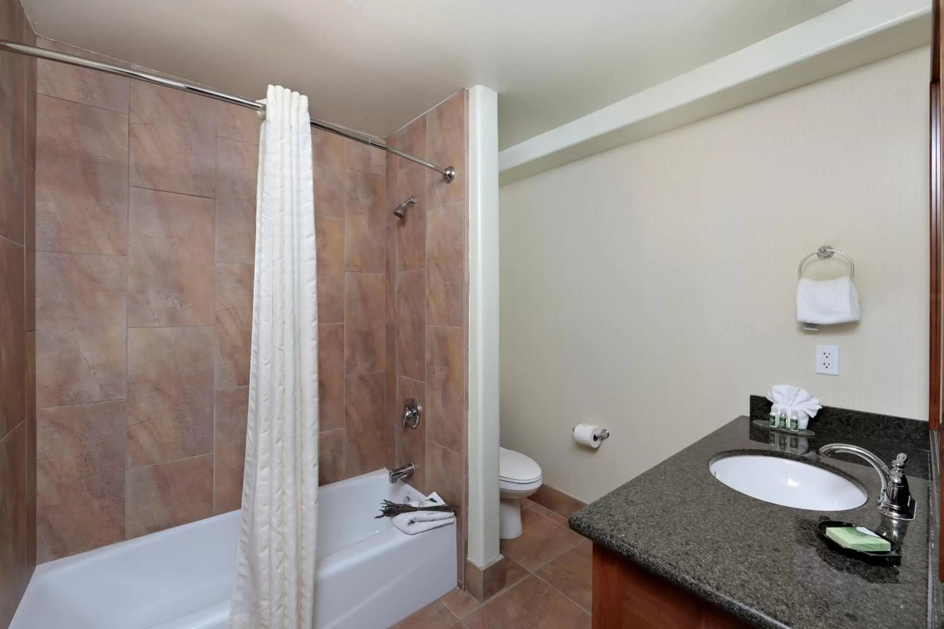 Shower, Bathroom in Paso Robles Inn