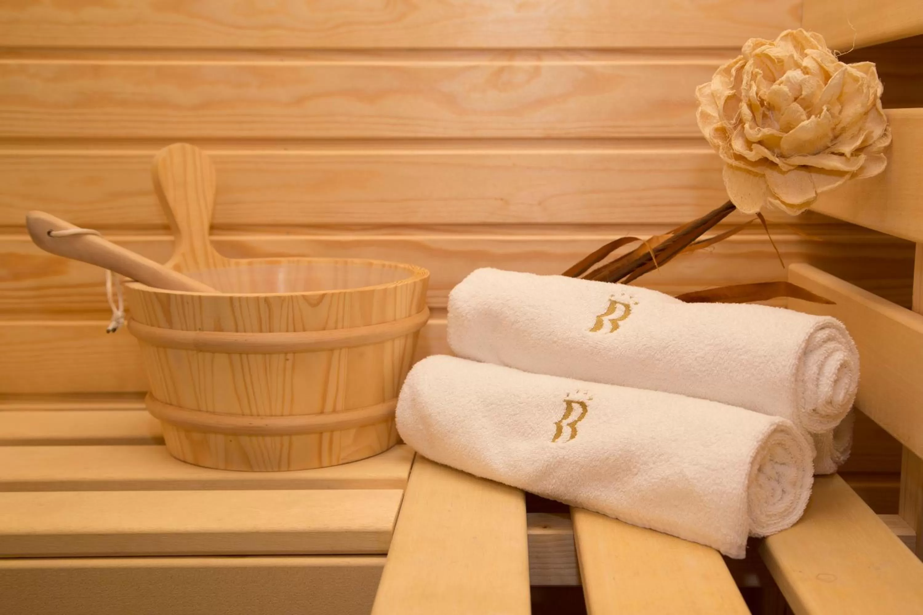 Sauna in Best Western Plus Bristol Hotel