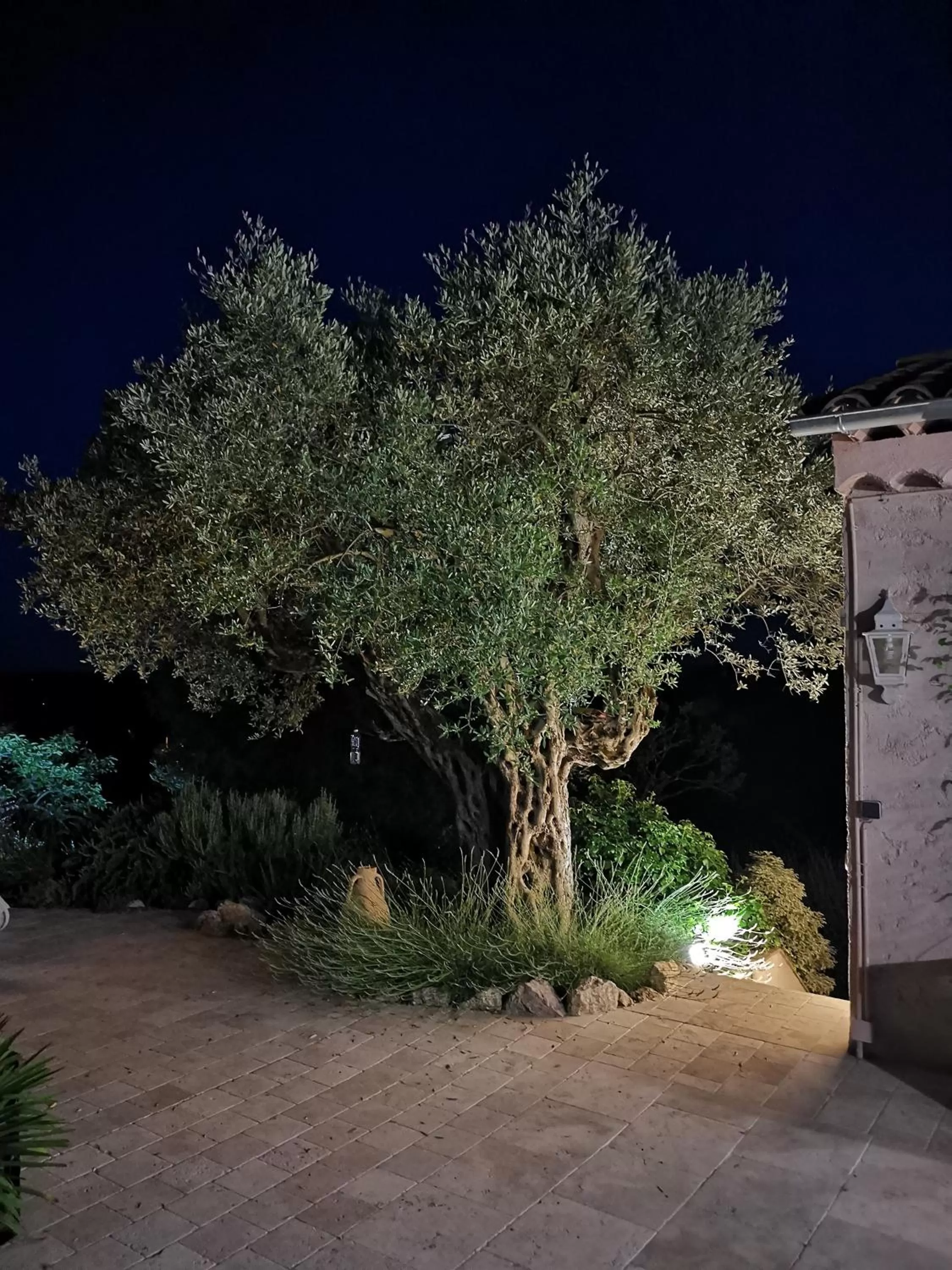 Property building in Le nid des arts