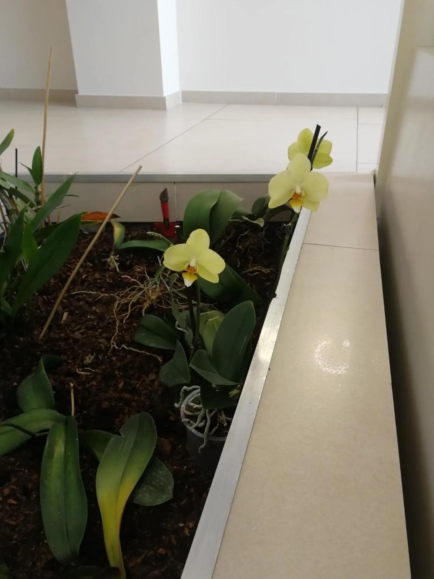 Lobby or reception in Contact Hôtel des États-Unis