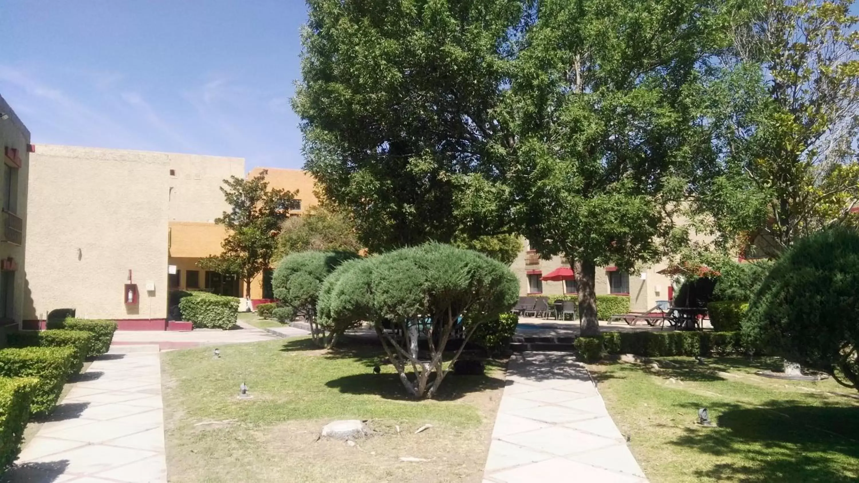 Patio, Garden in Casa Grande Chihuahua