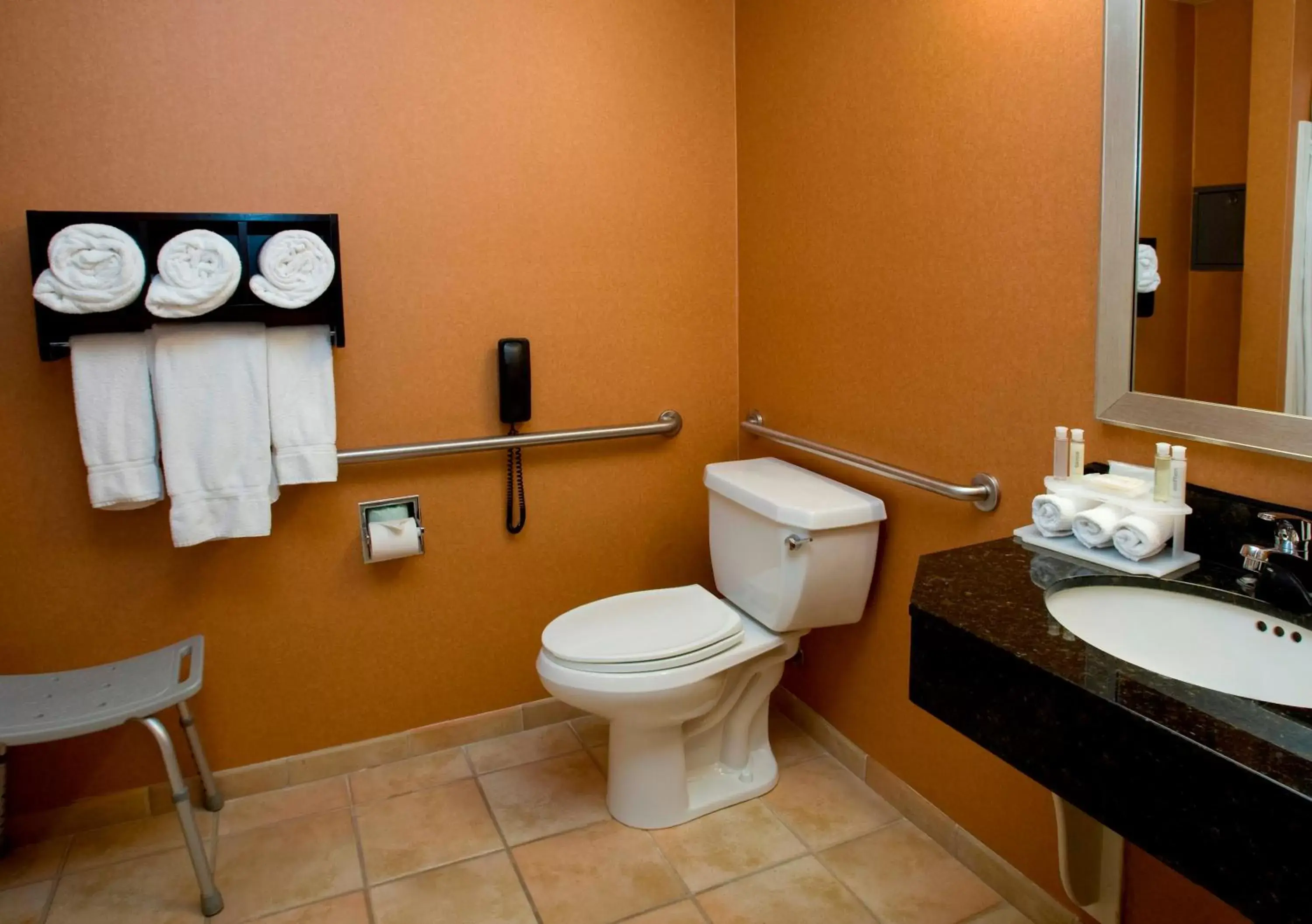 Bathroom in Holiday Inn Express Hotel & Suites San Jose-Morgan Hill, an IHG Hotel